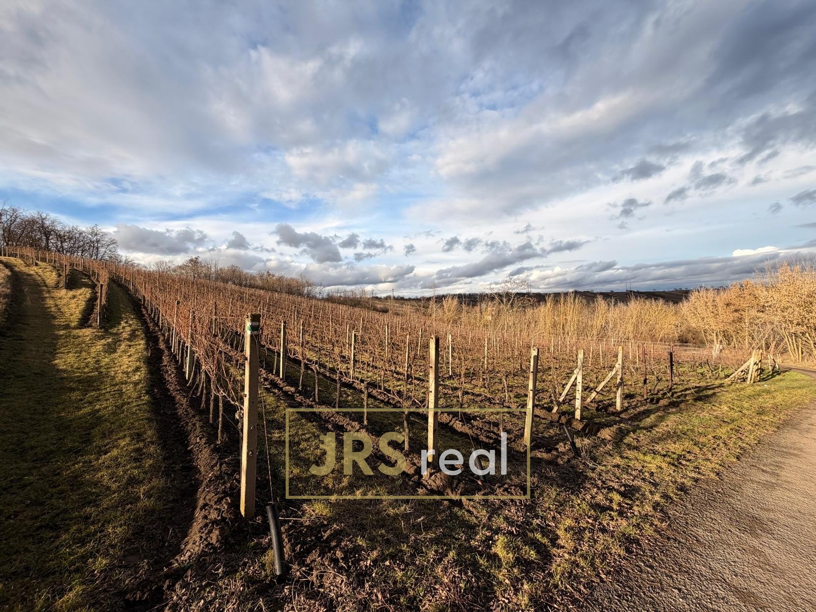 WhatsApp Image 2026-02-16 at 12.09.58 (1)