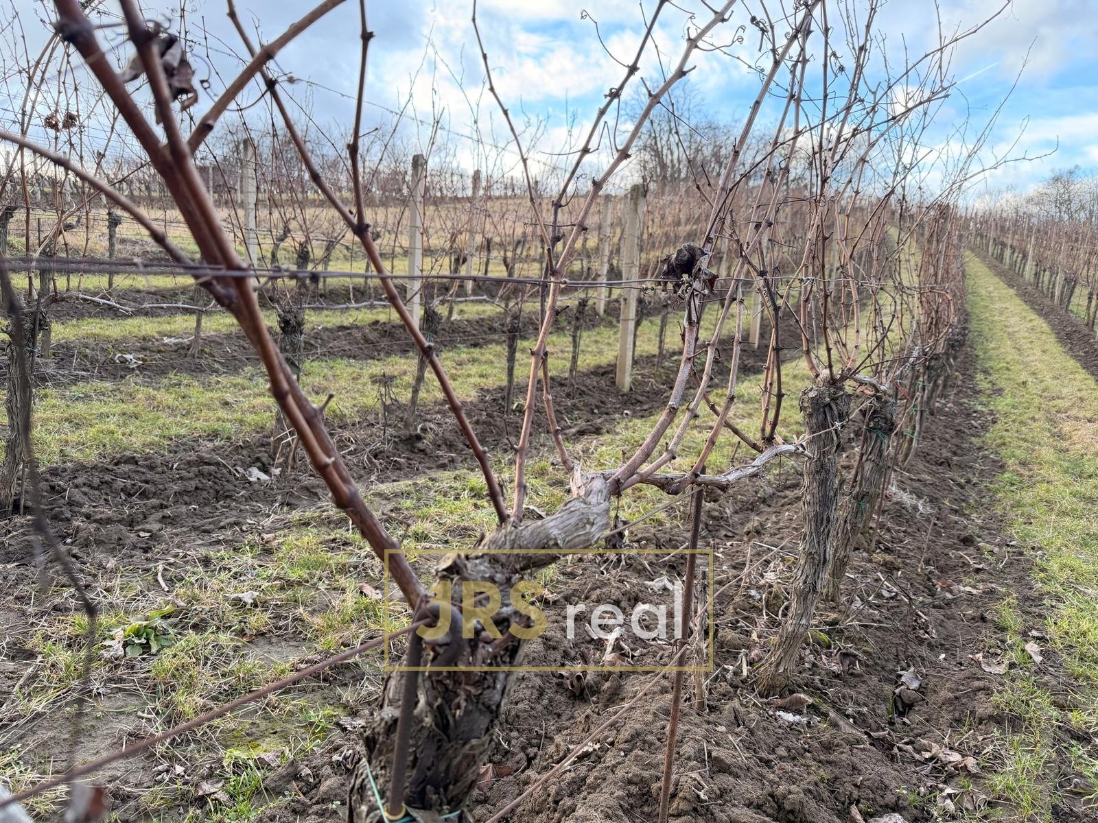 WhatsApp Image 2026-02-16 at 12.09.58 (5)