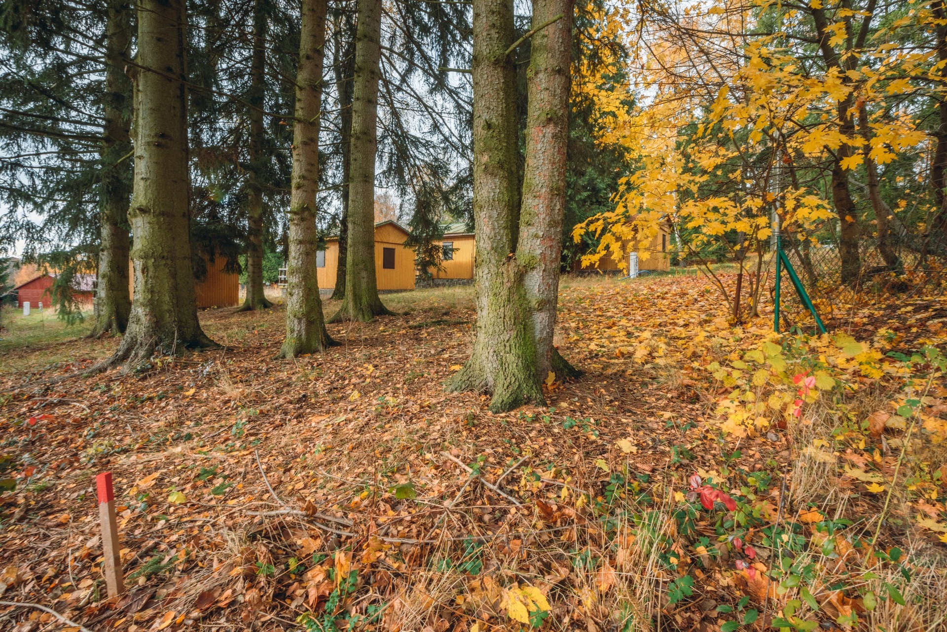 Pozemky Seč-Ústupky (36)