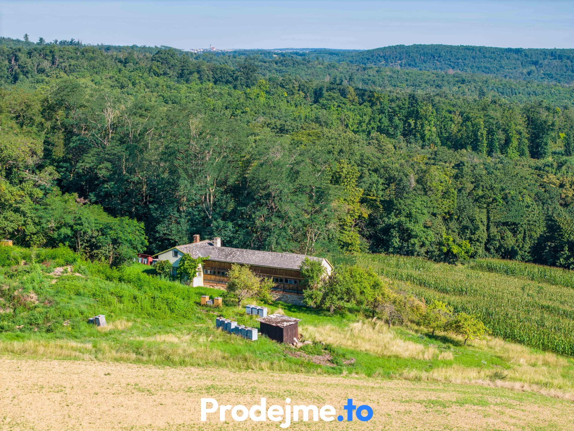 DJI_20250808090438_0110_D-Edit