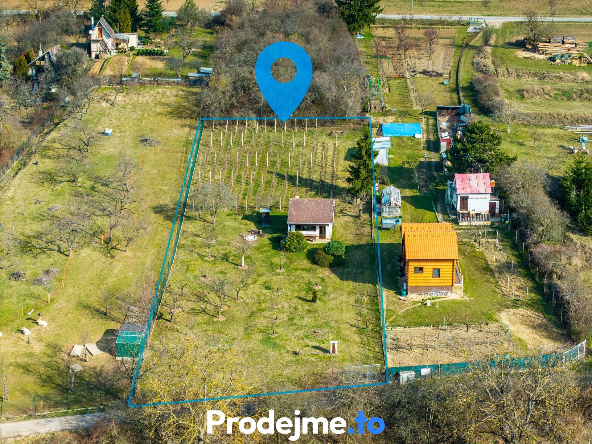 DJI_20260310093037_0361_D-Edit