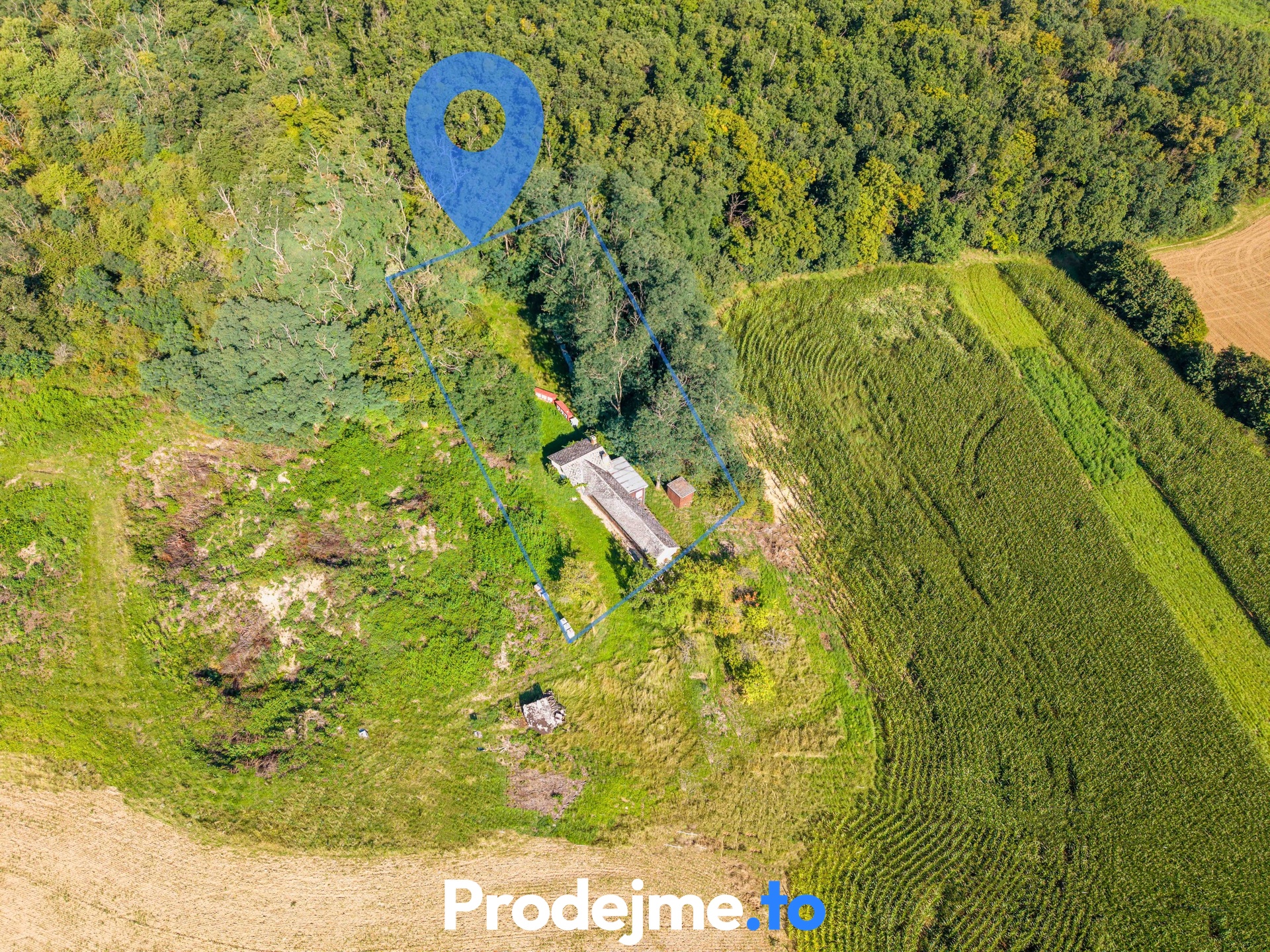 DJI_20250808090745_0122_D-Edit-Edit