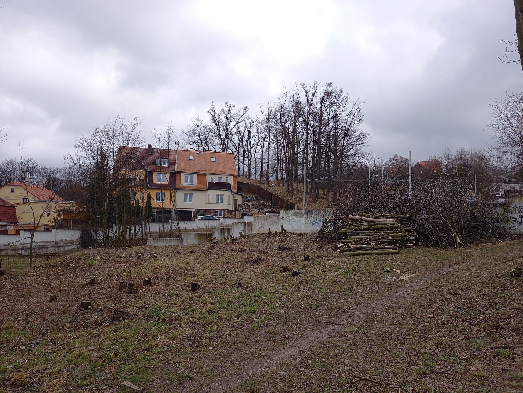 Foto_1