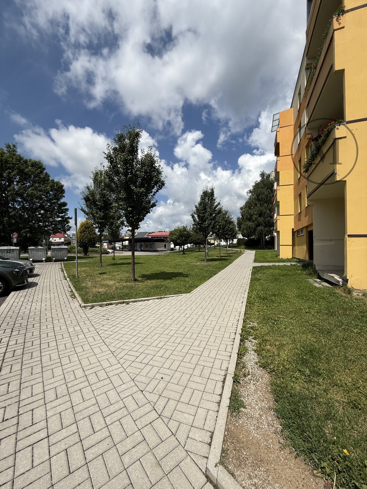 IMG_5052.jpeg