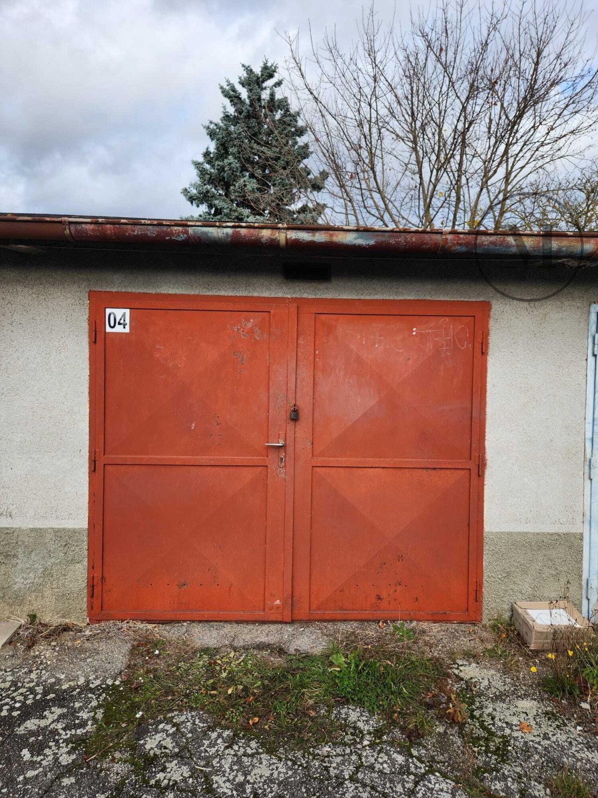 Rož WhatsApp, 2025-11-11 v 16.25.34_810d58cb.jpg