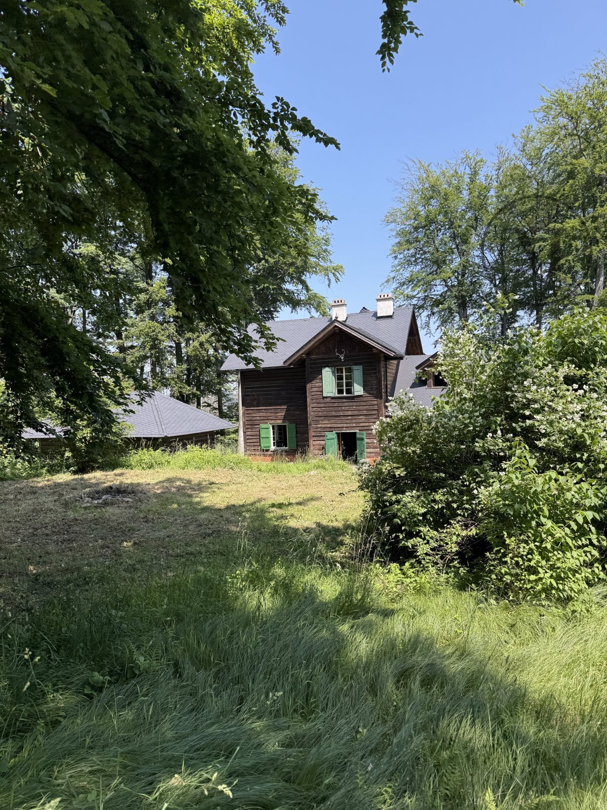 IMG_6238.JPEG