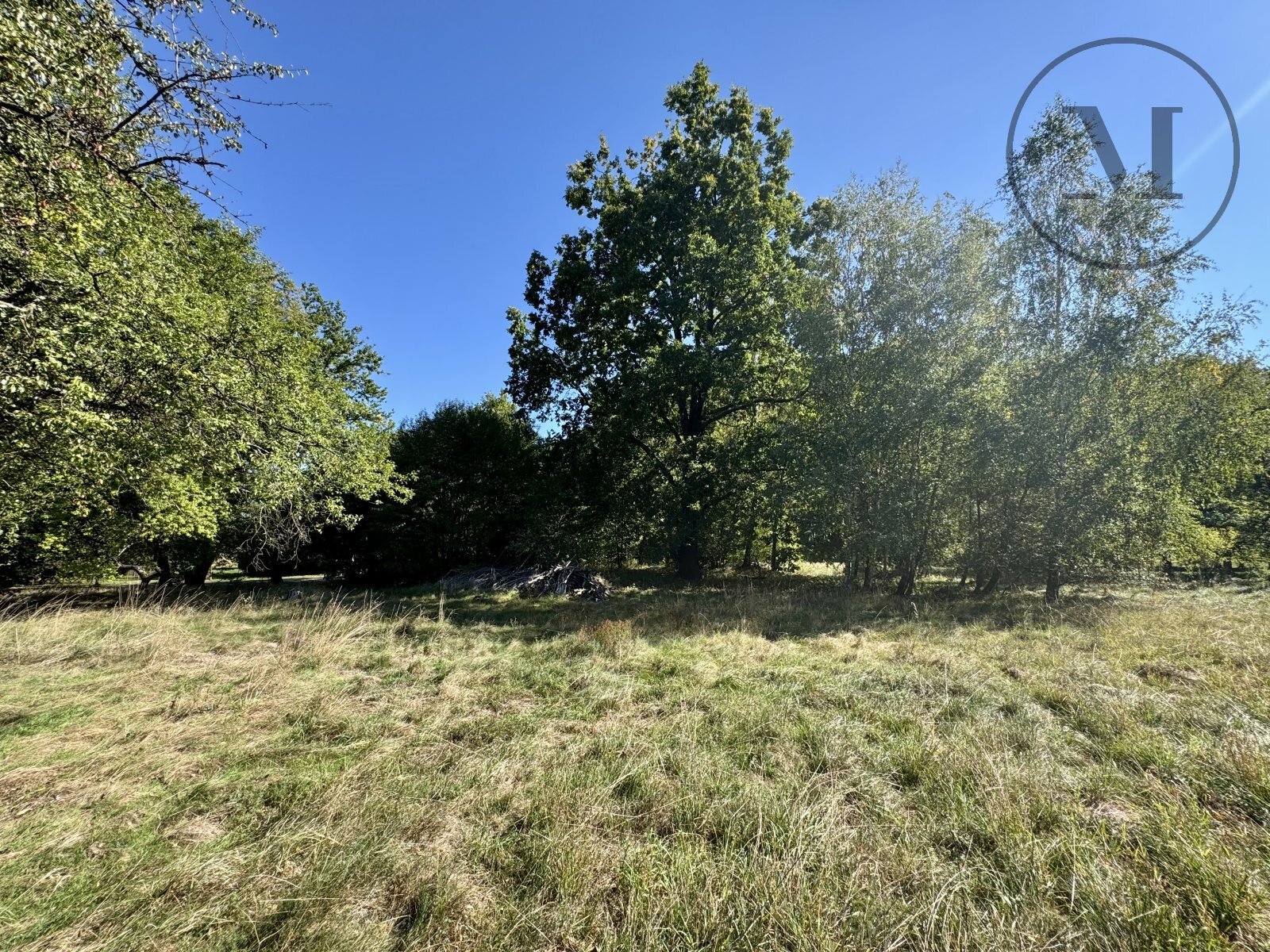 IMG_7529.jpeg