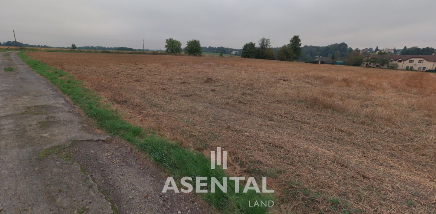 Snímek obrazovky 2026-02-11 154843