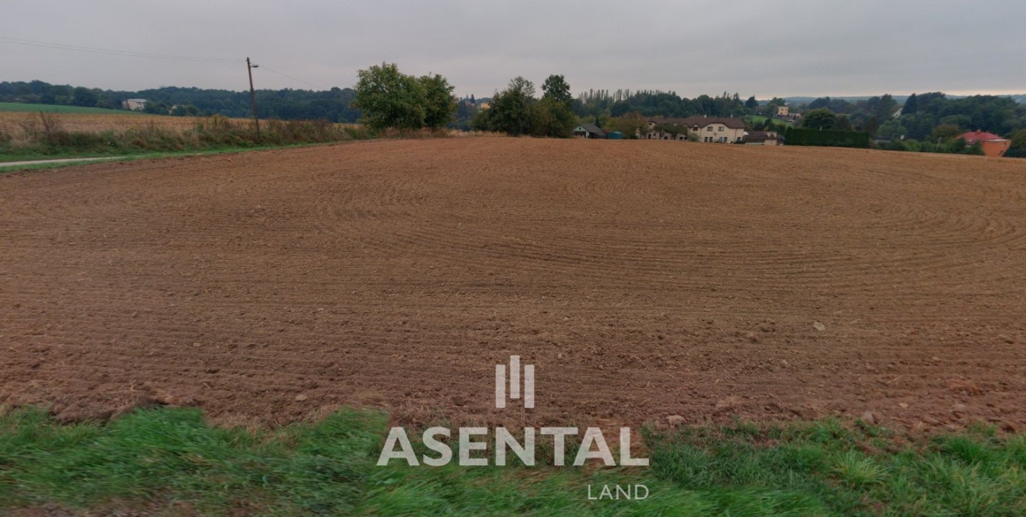 Snímek obrazovky 2026-02-11 154747