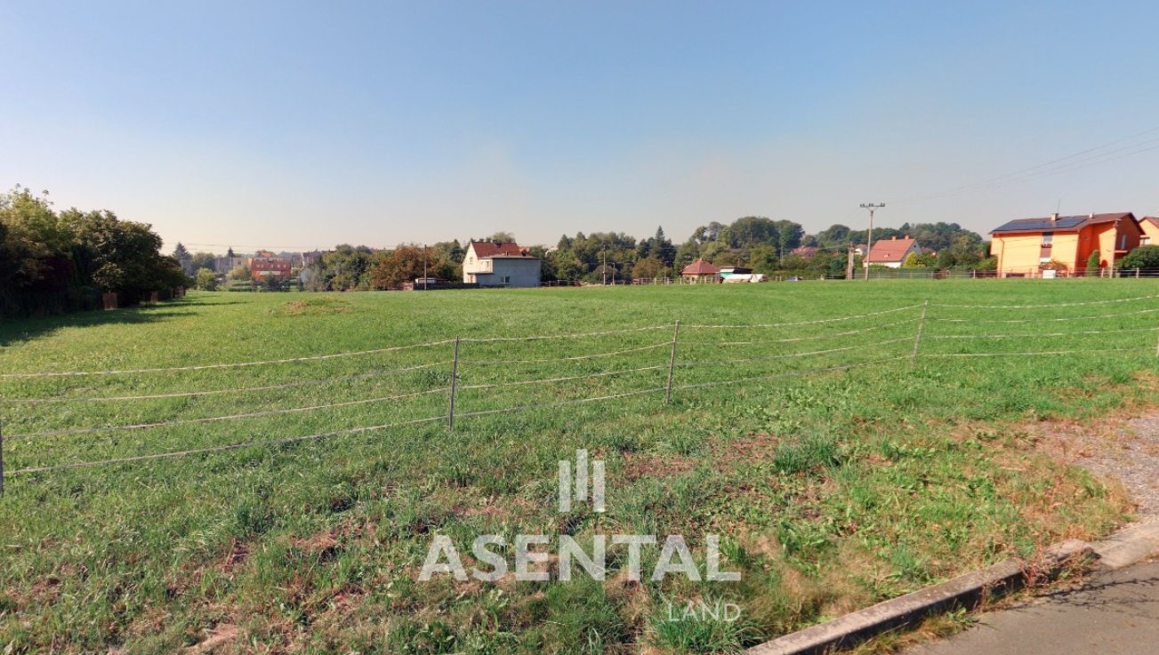 Snímek obrazovky 2025-06-03 141351