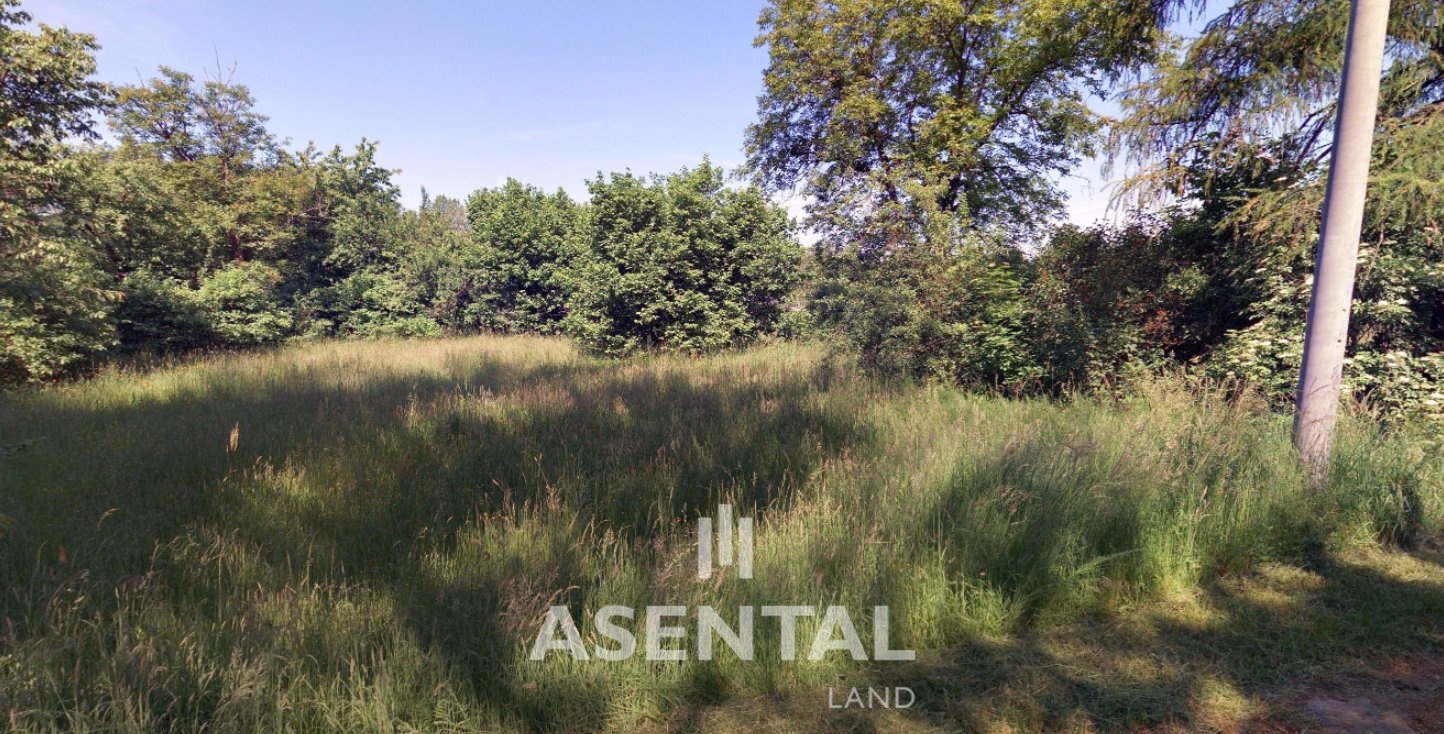 Snímek obrazovky 2026-03-20 133122