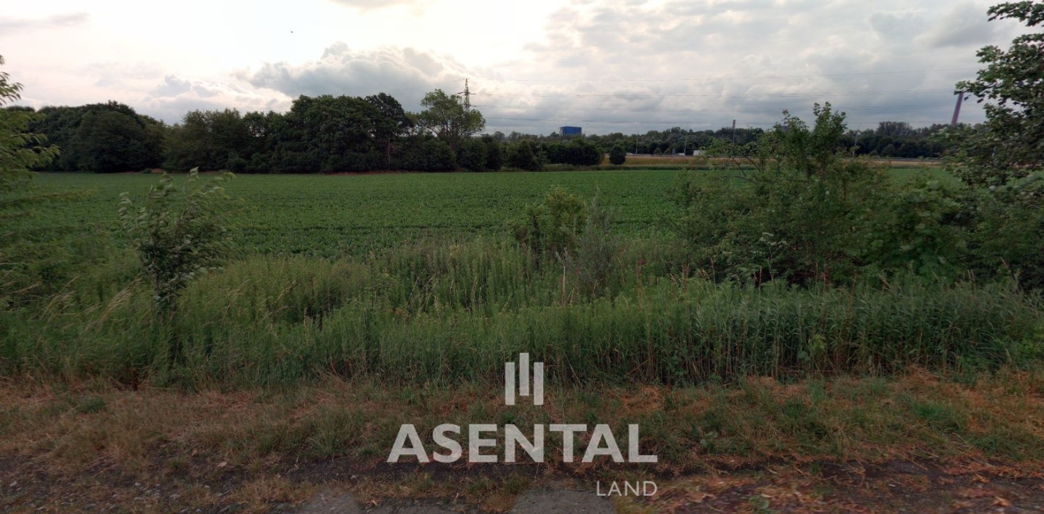 Snímek obrazovky 2025-12-02 100954