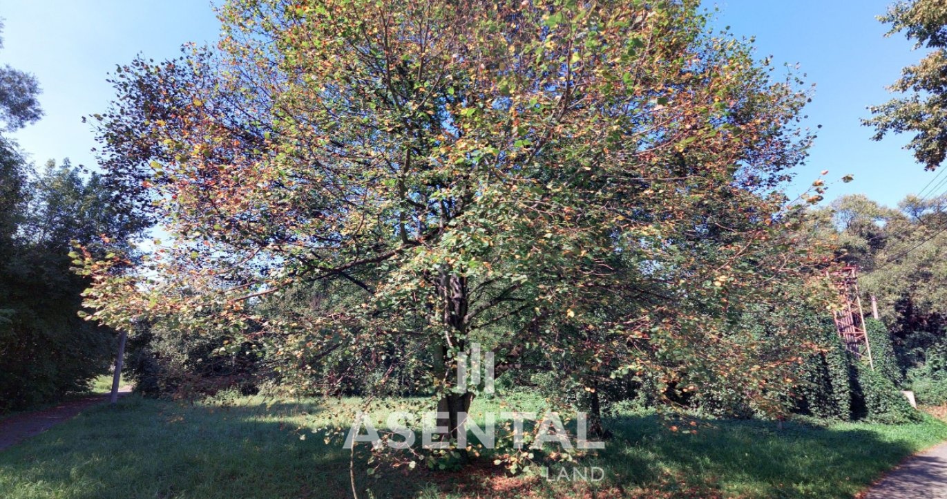 Snímek obrazovky 2026-02-26 141240