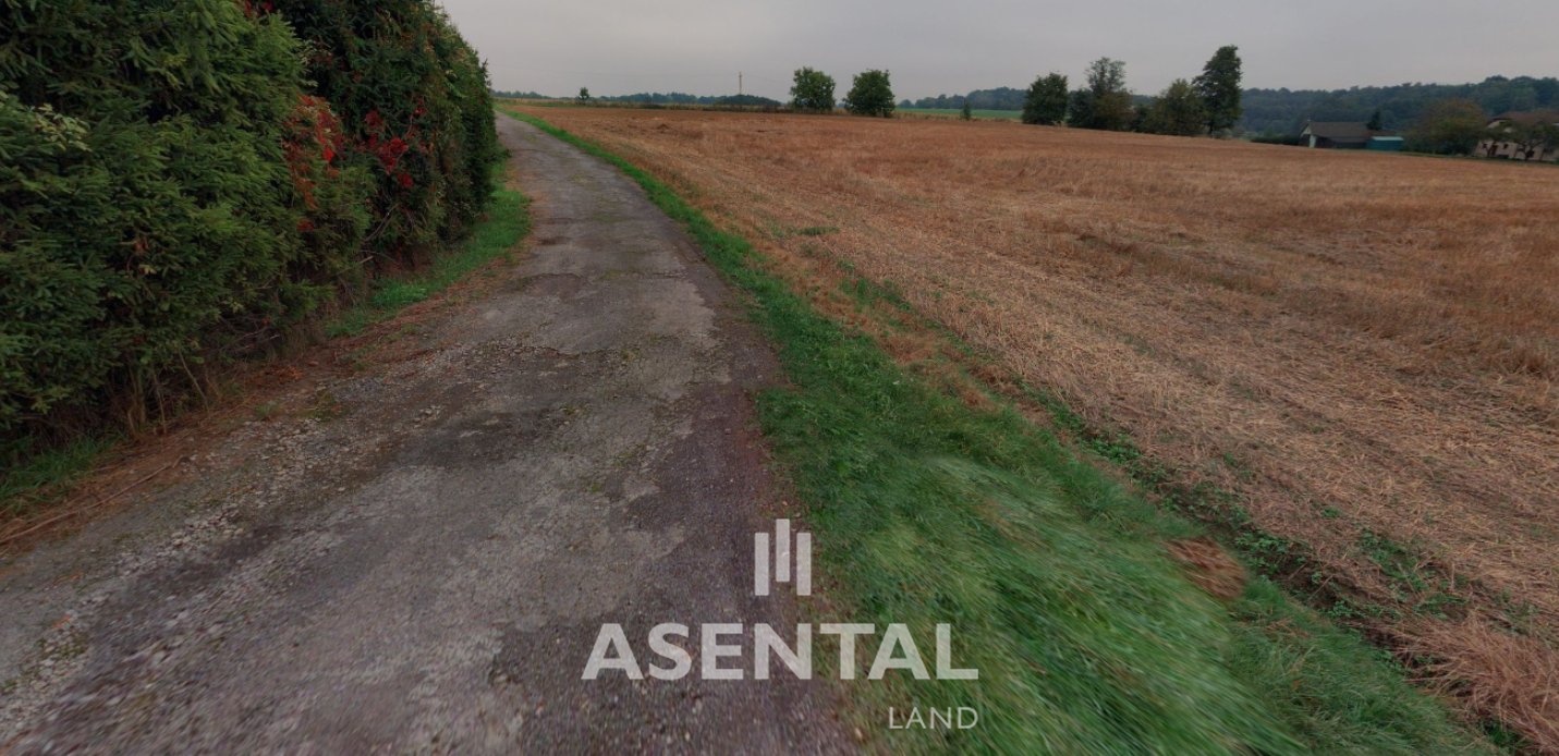 Snímek obrazovky 2026-02-11 154915