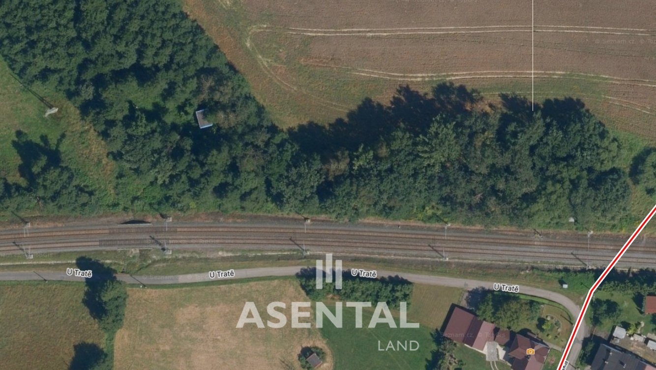 Snímek obrazovky 2026-02-10 103737