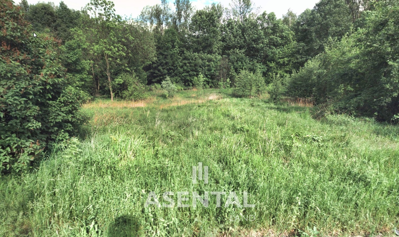 2019-01-10 11_46_25-