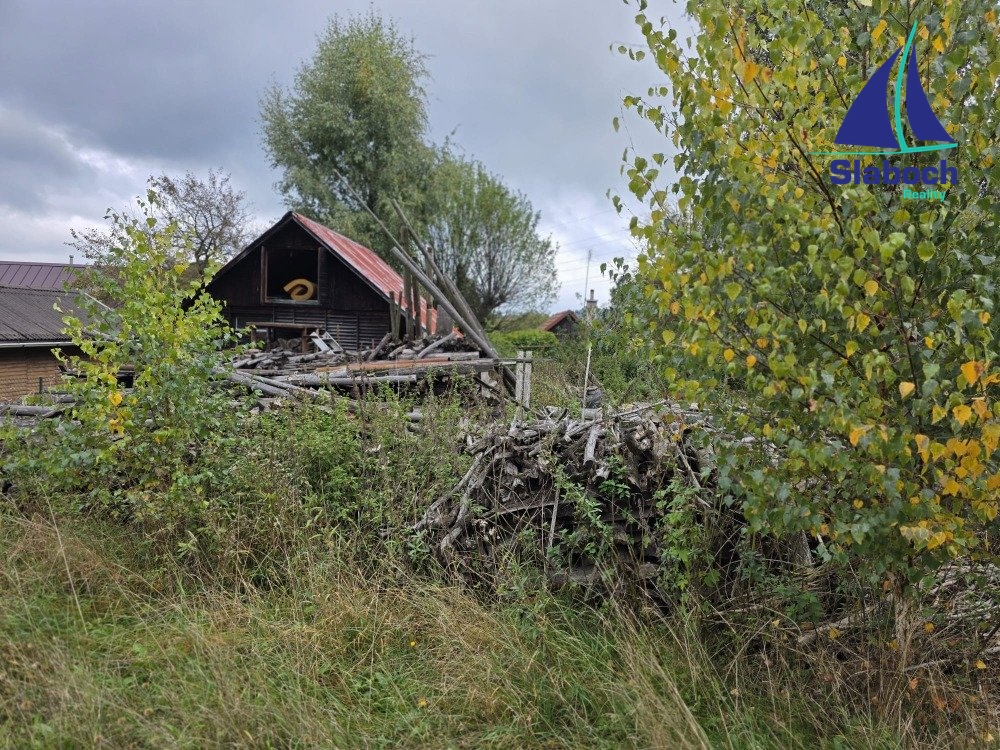 IMG-20251001-WA0006