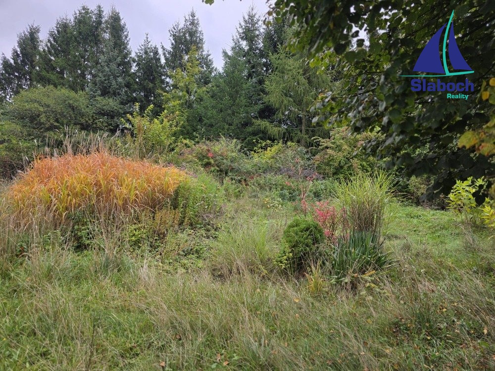 IMG-20251001-WA0007