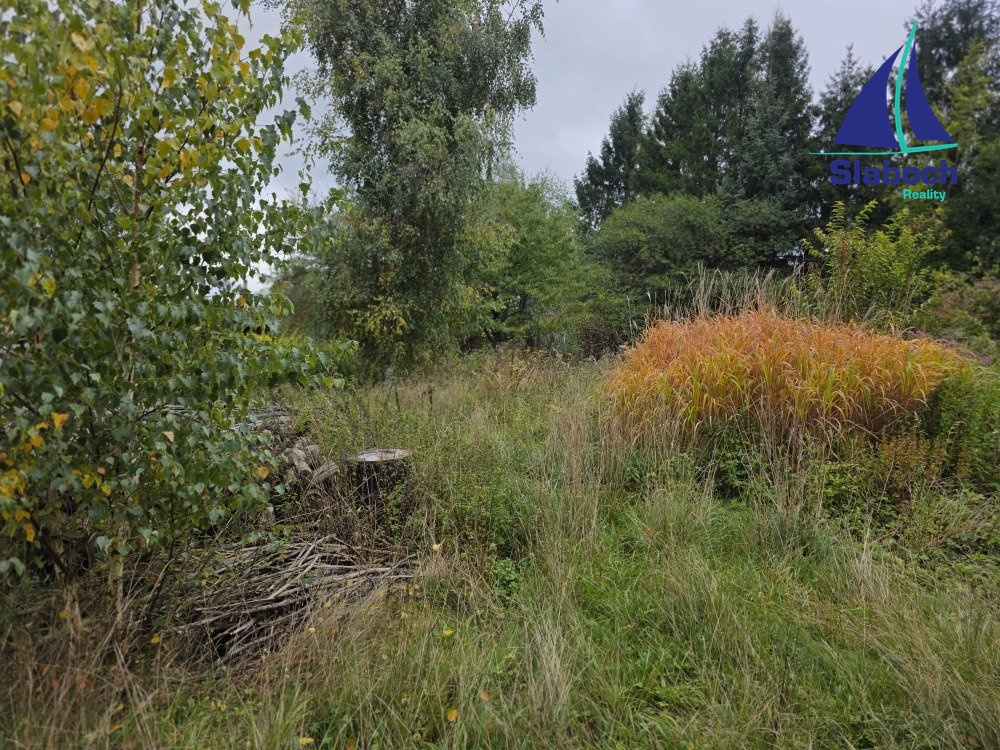IMG-20251001-WA0009