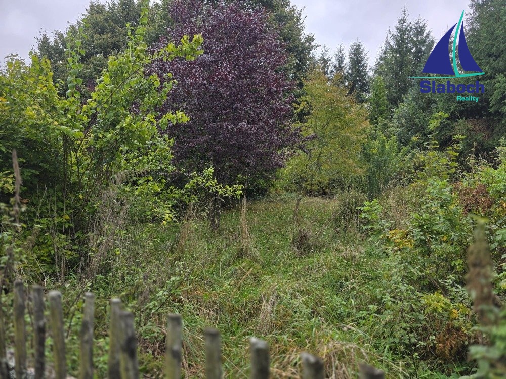 IMG-20251001-WA0013