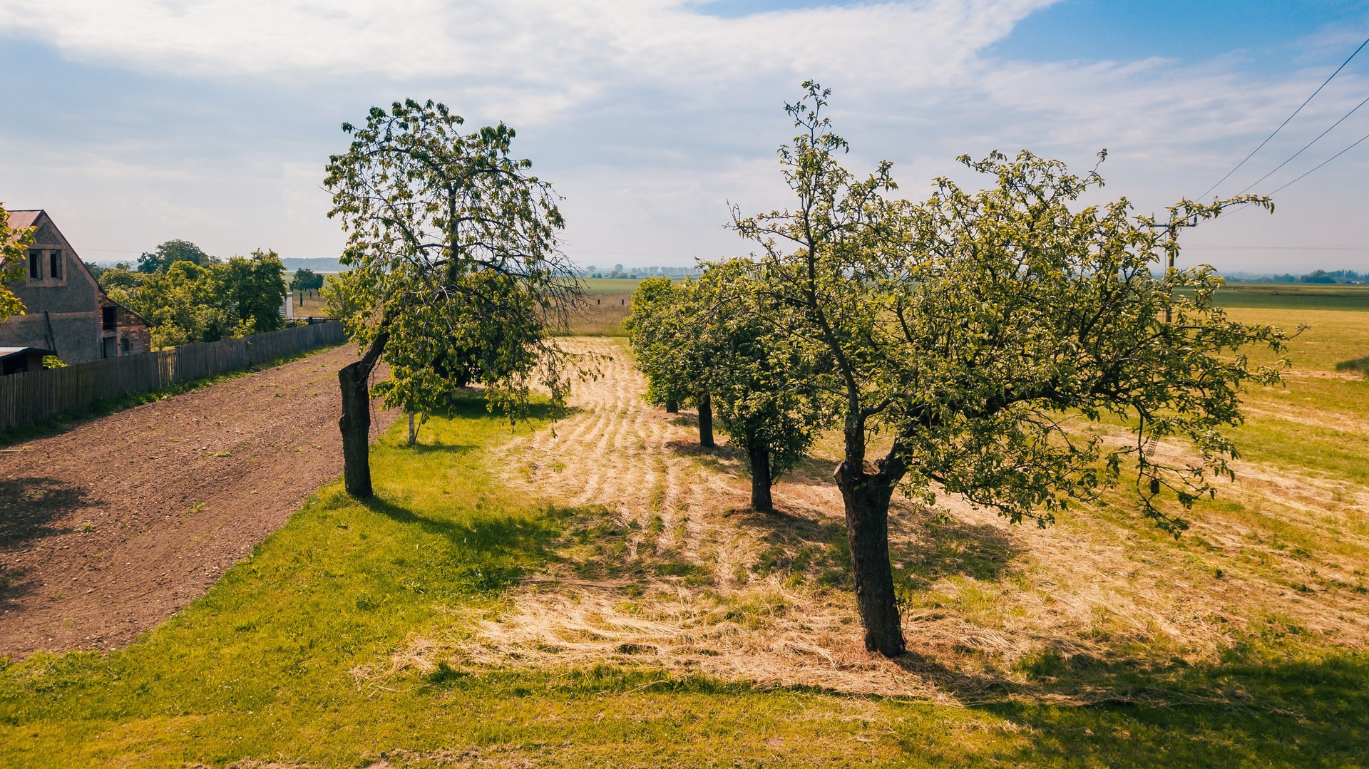 Nymburk_pozemek_025