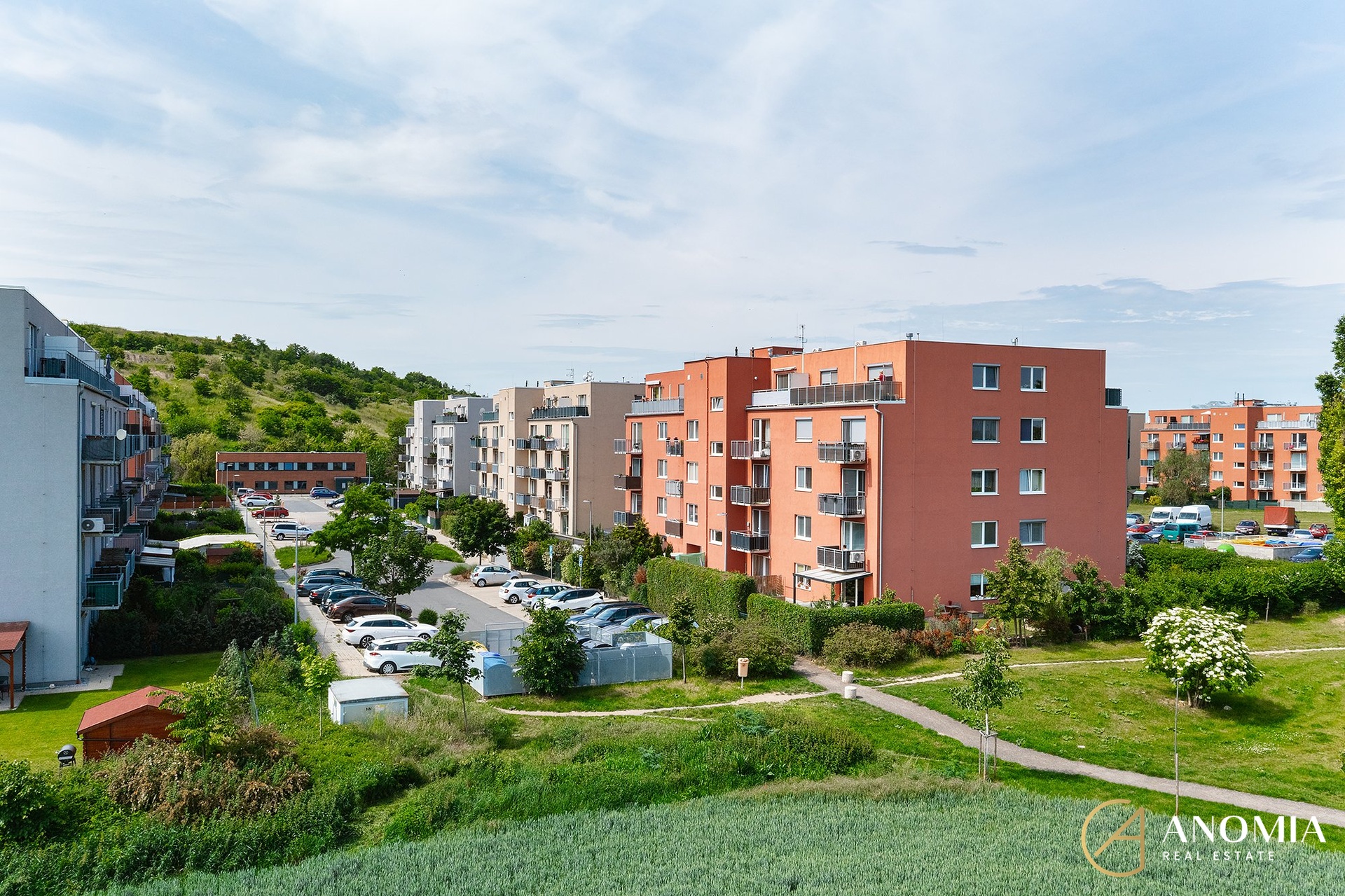 DJI_0354