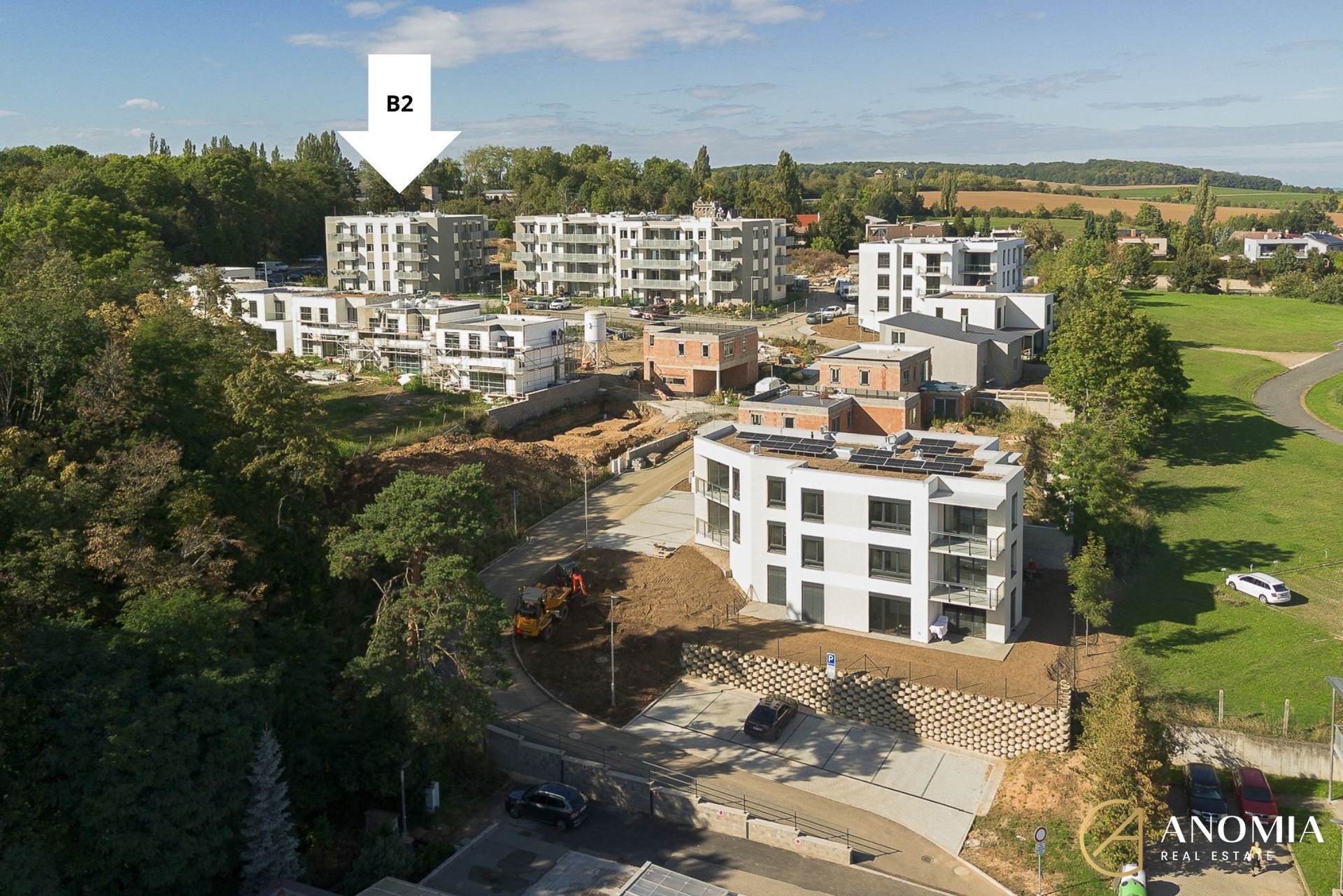 concentrate (2000 x 1334 px)