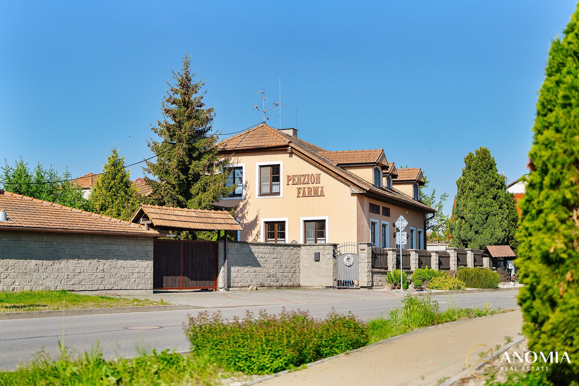 DSC01965