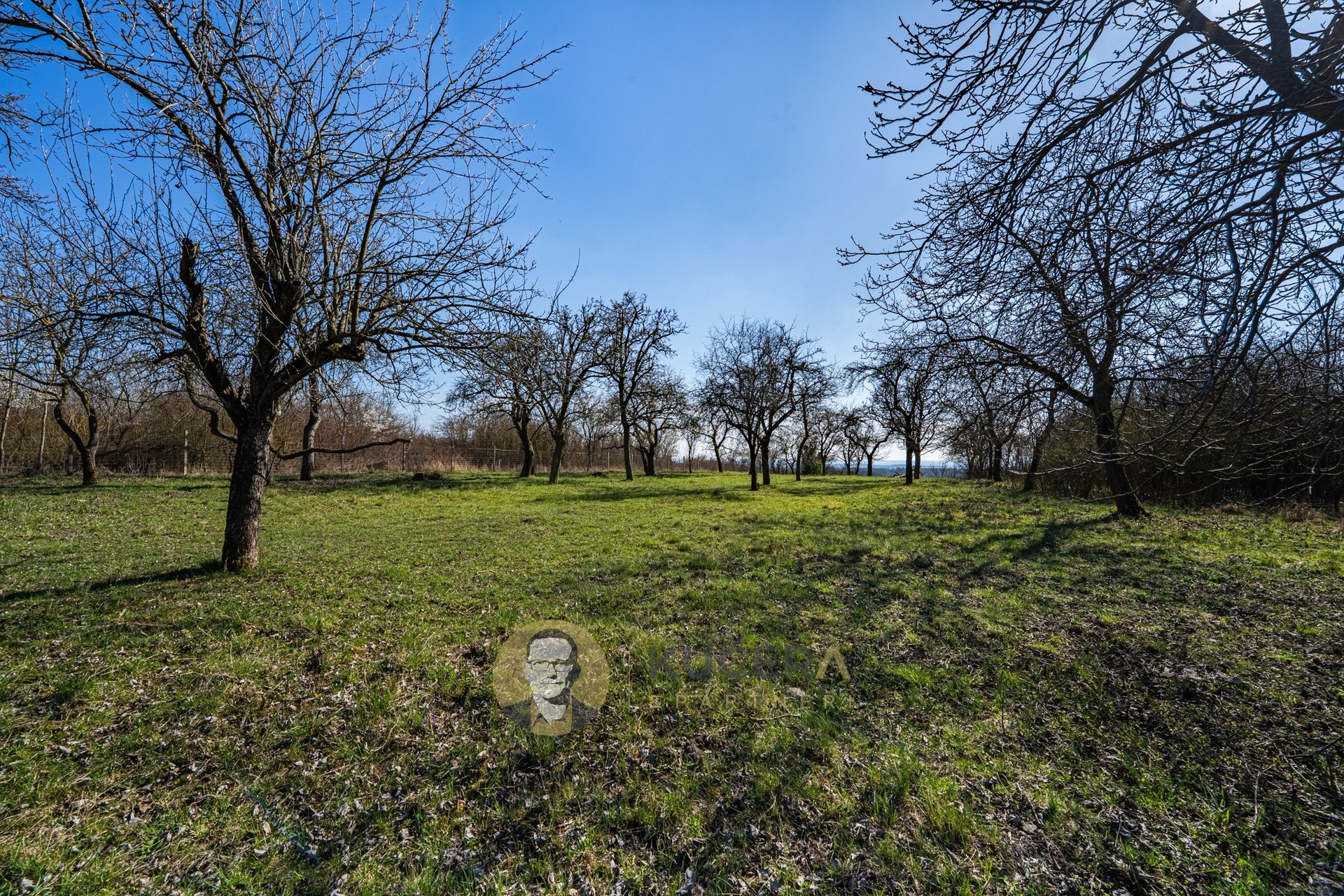 Str?emy_rozlis?eni? pro web-25