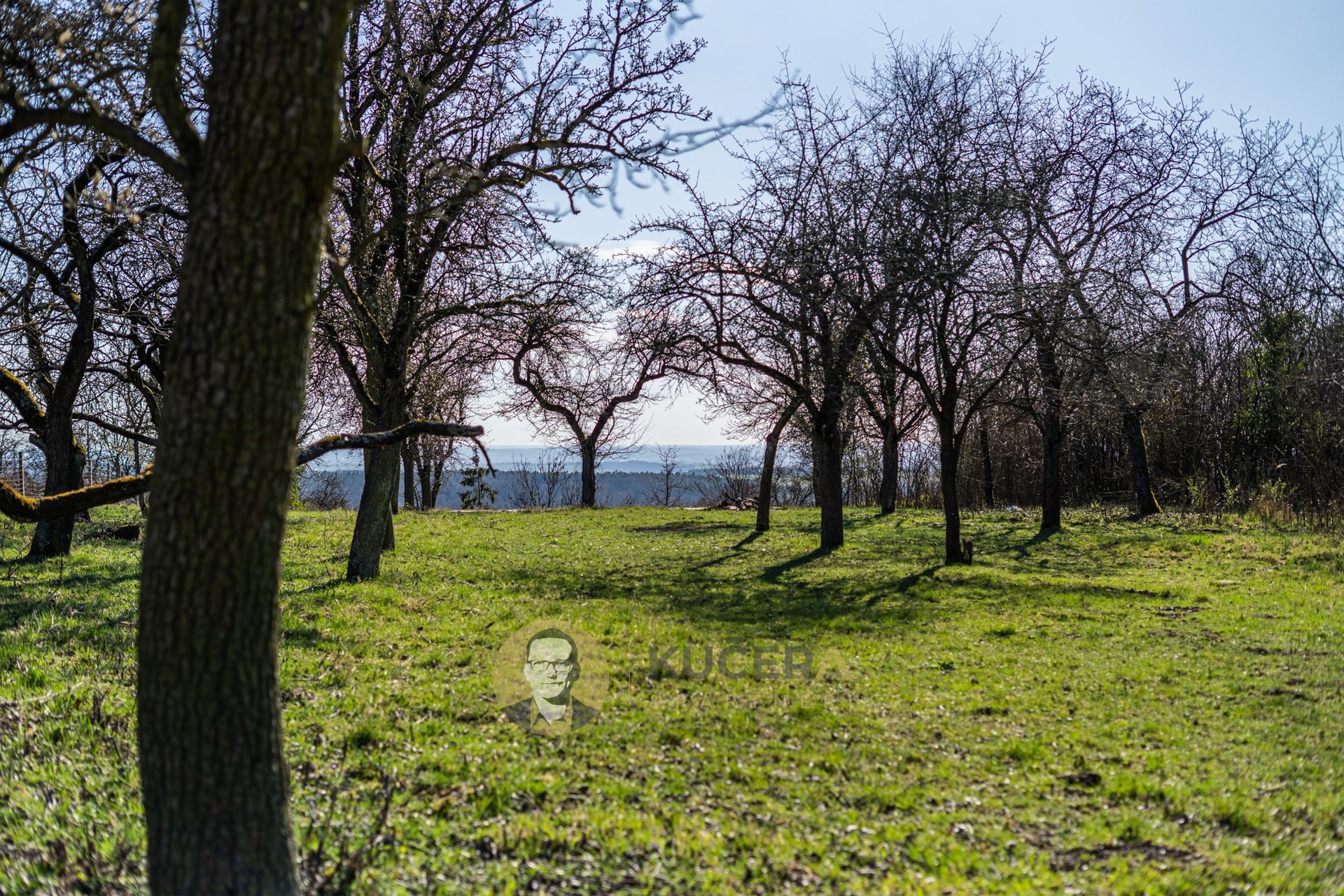 Str?emy_rozlis?eni? pro web-22