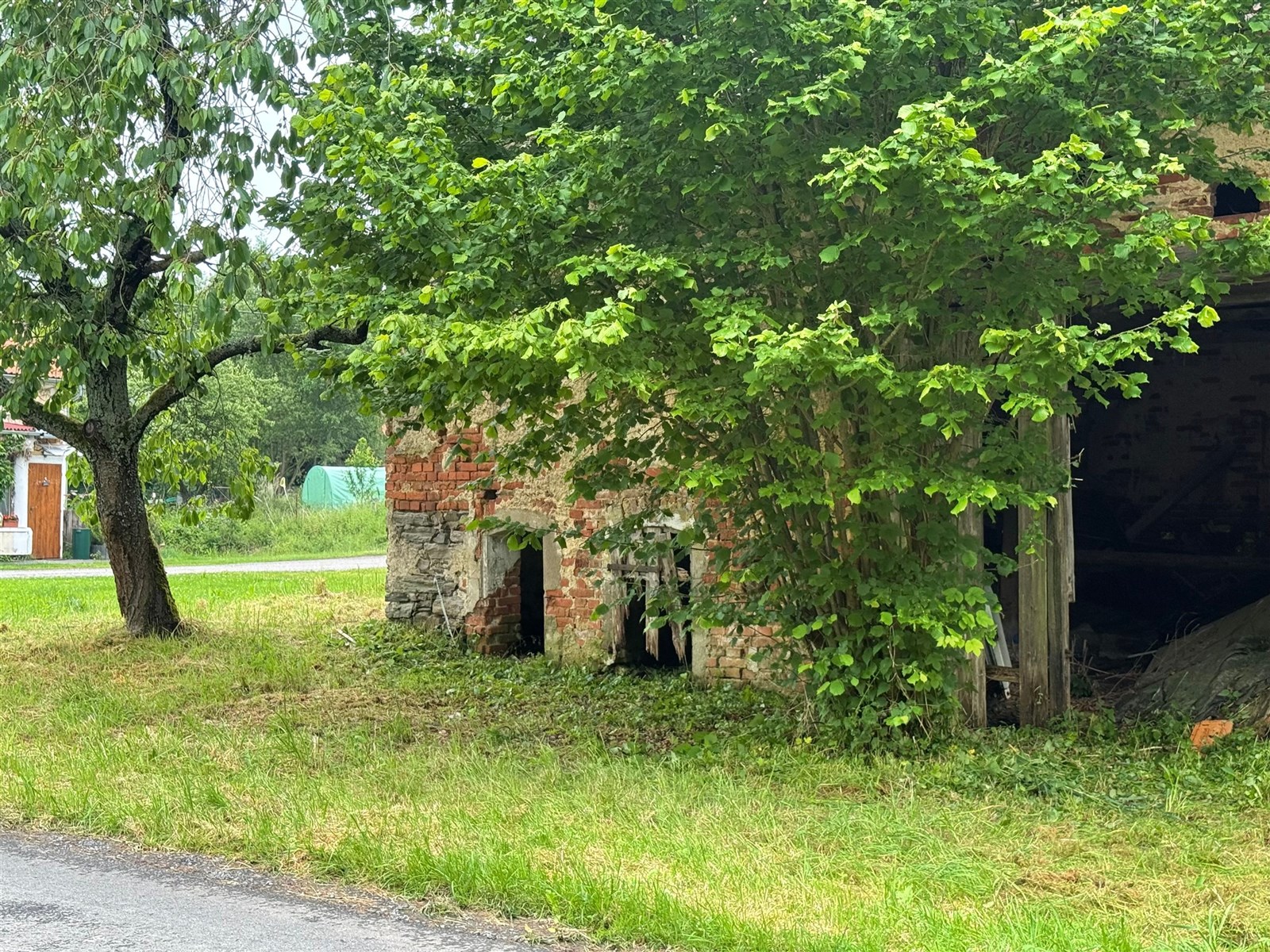 Zarostlá zahrada u staré kamenné stavby s cihlovými detaily, vhodná k renovaci, nabízí přírodní prostředí a klid s možností modernizace.