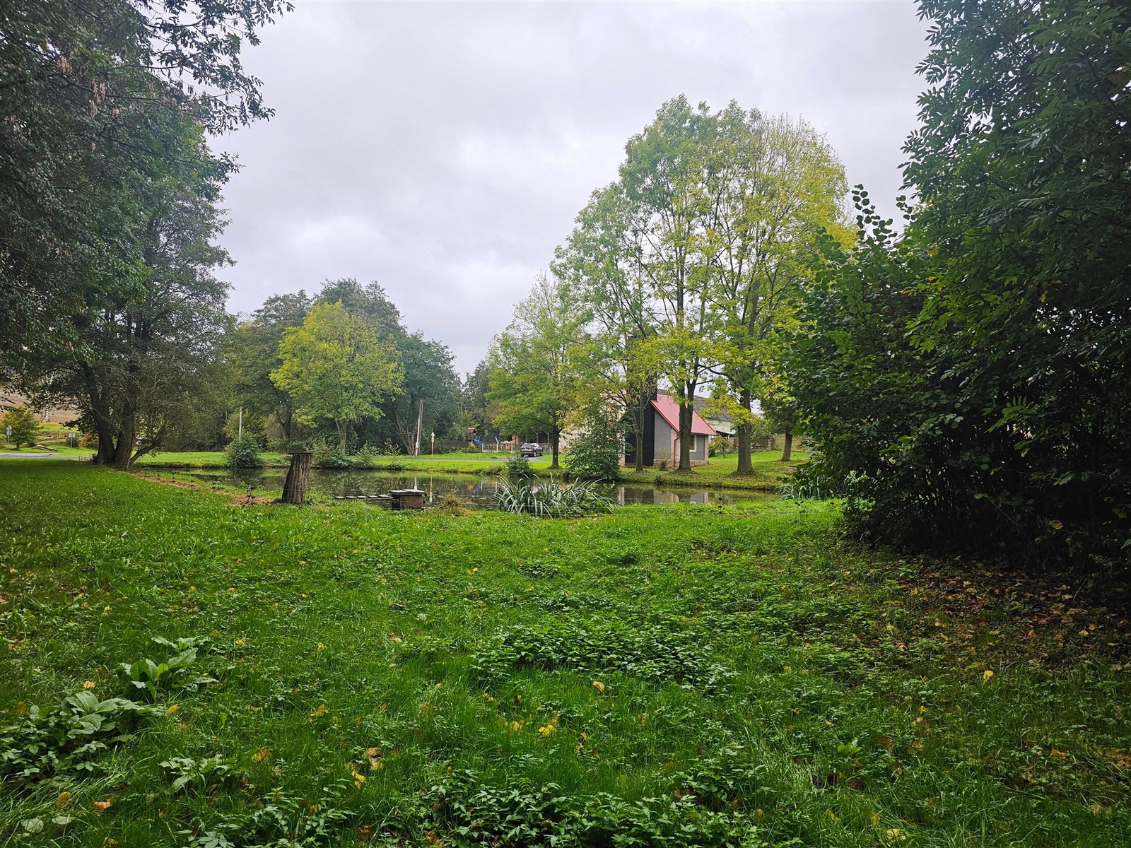 Tranquil garden setting with lush greenery, mature trees, and a peaceful pond reflecting the natural surroundings. Ideal for nature lovers.