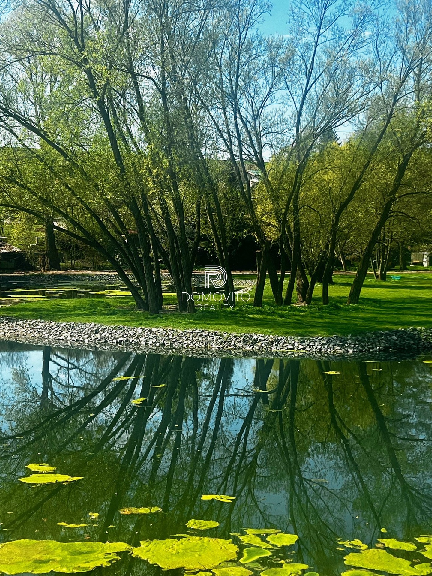 IMG_3469