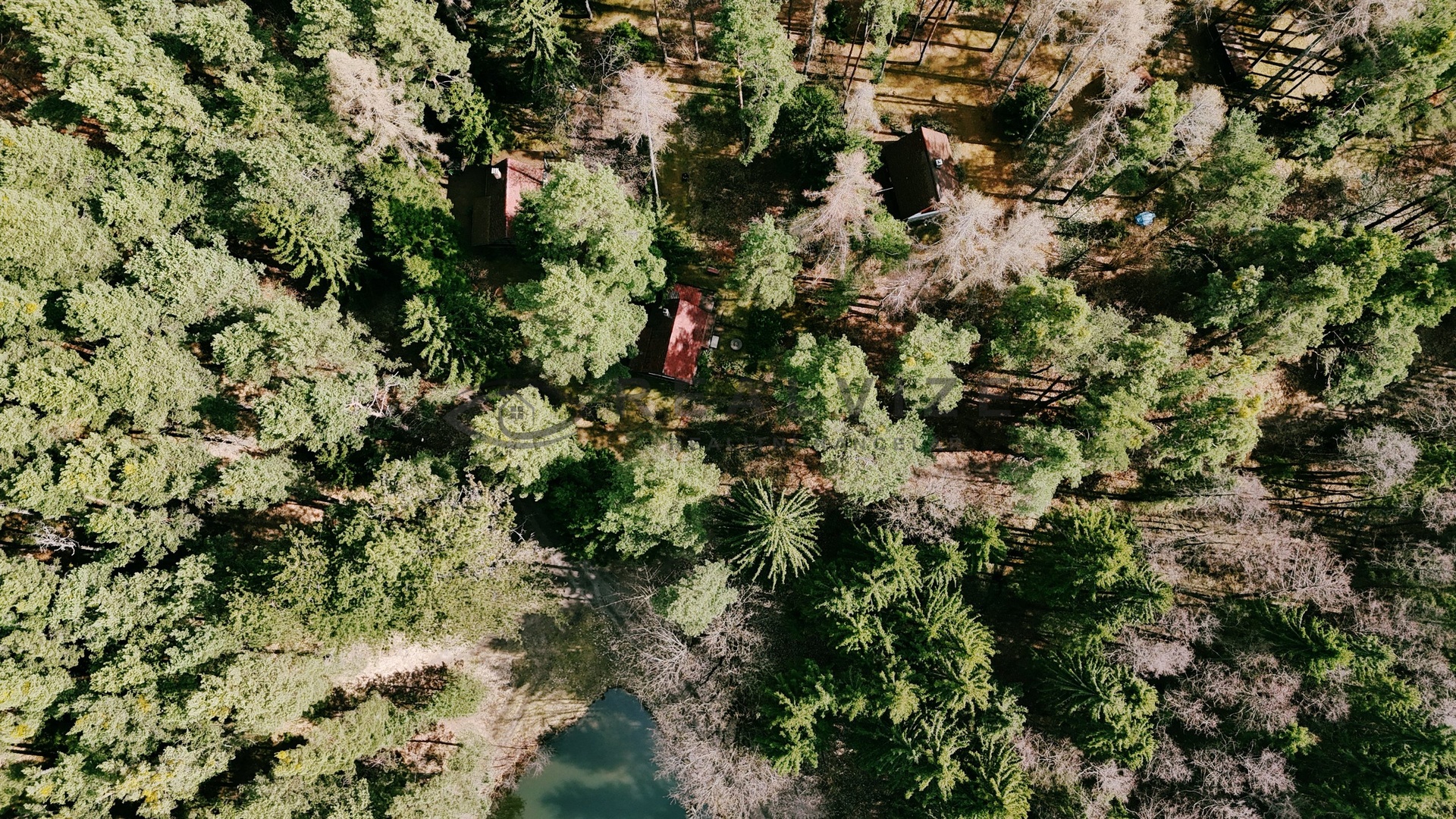 DJI_20260325133208_0617_D