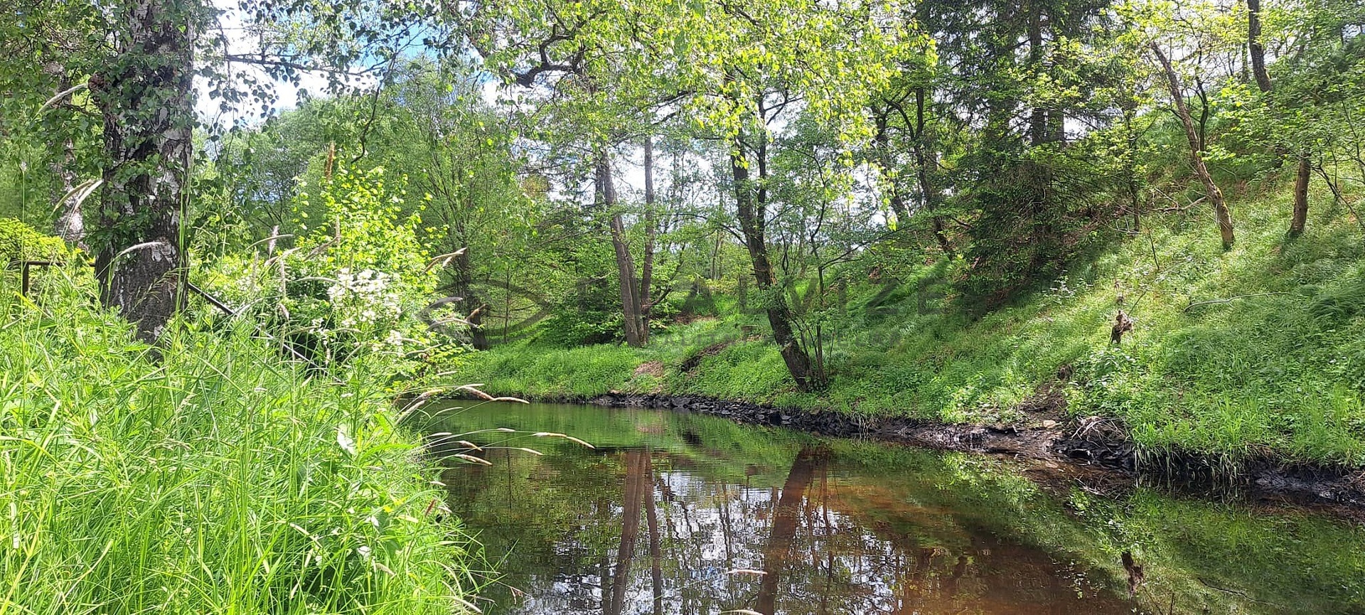 Černá 1