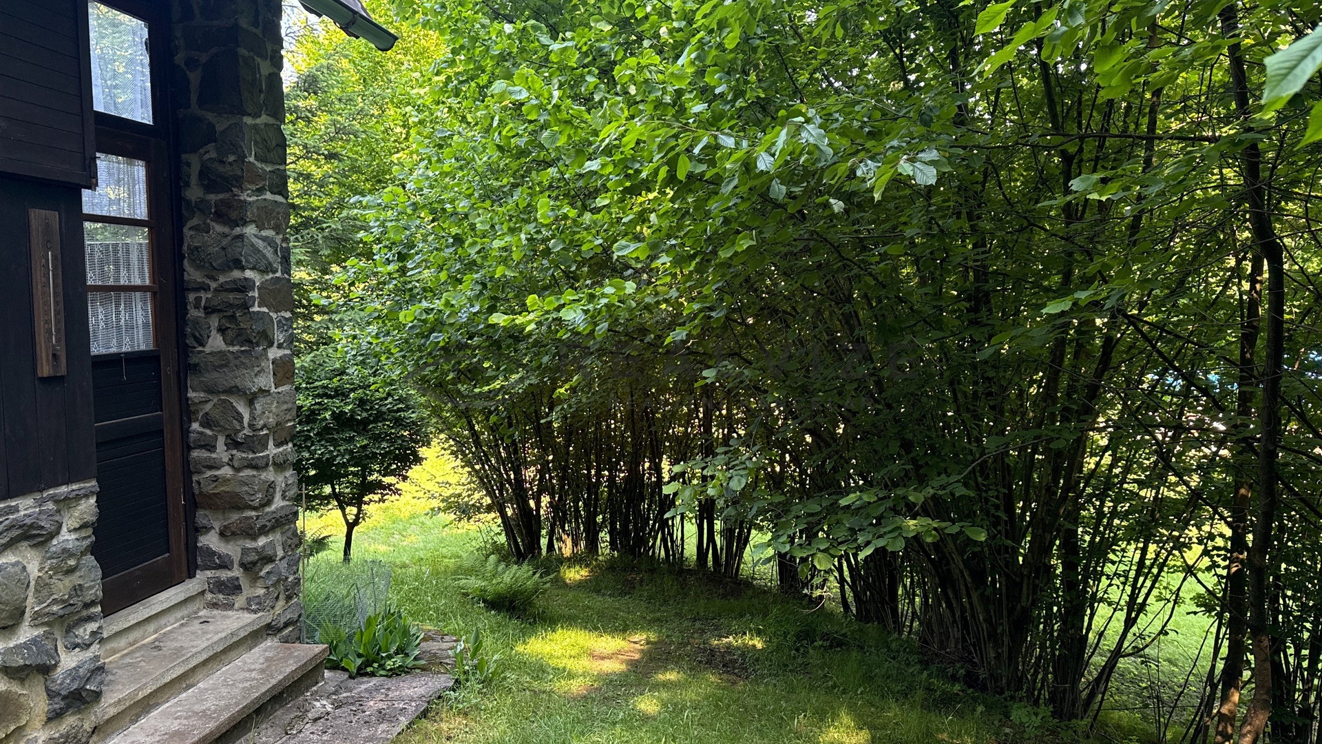 DJI_20250618_095240_087