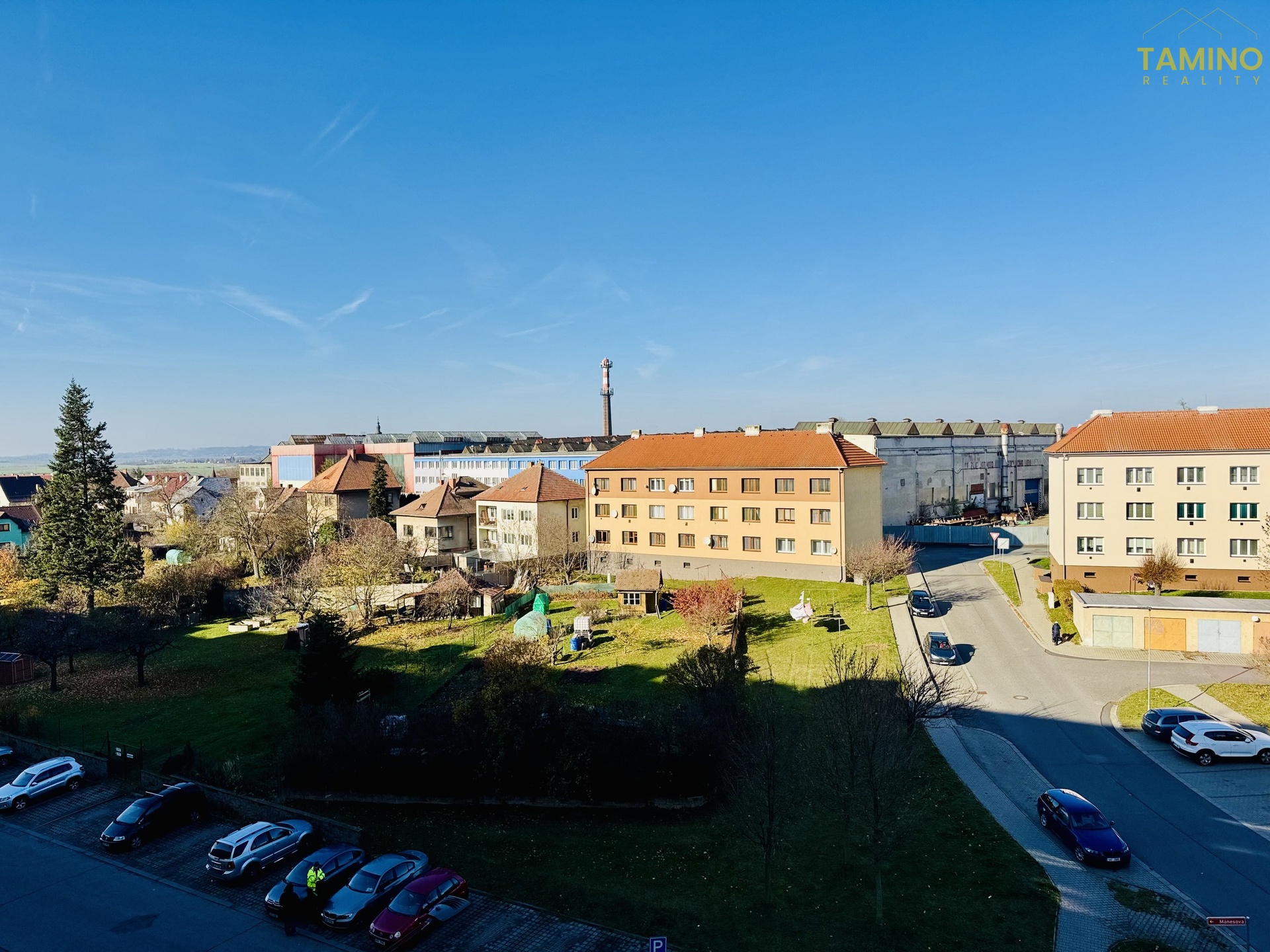 Joy_20251106_131308_380_photo