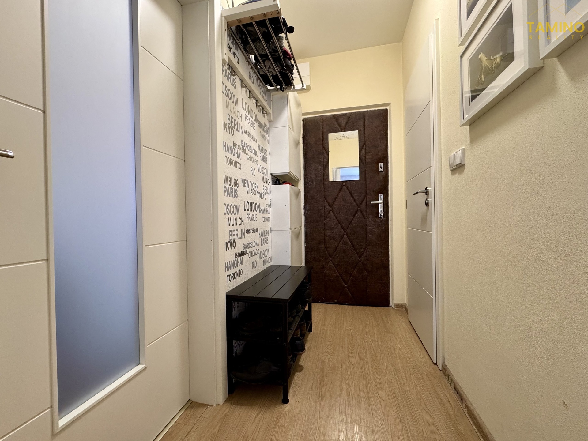 Joy_20260227_135837_983_photo