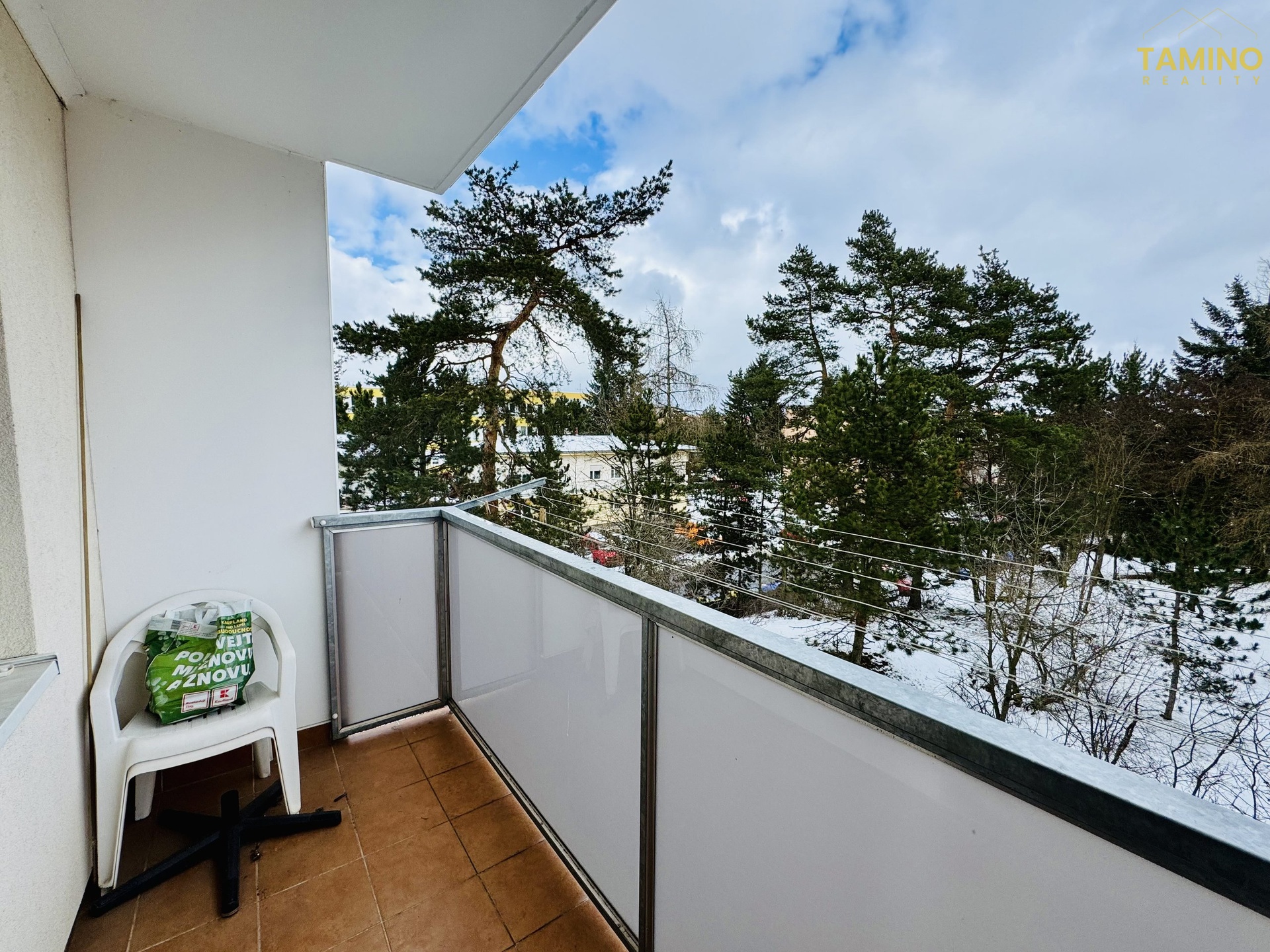 Joy_20260218_132018_033_photo