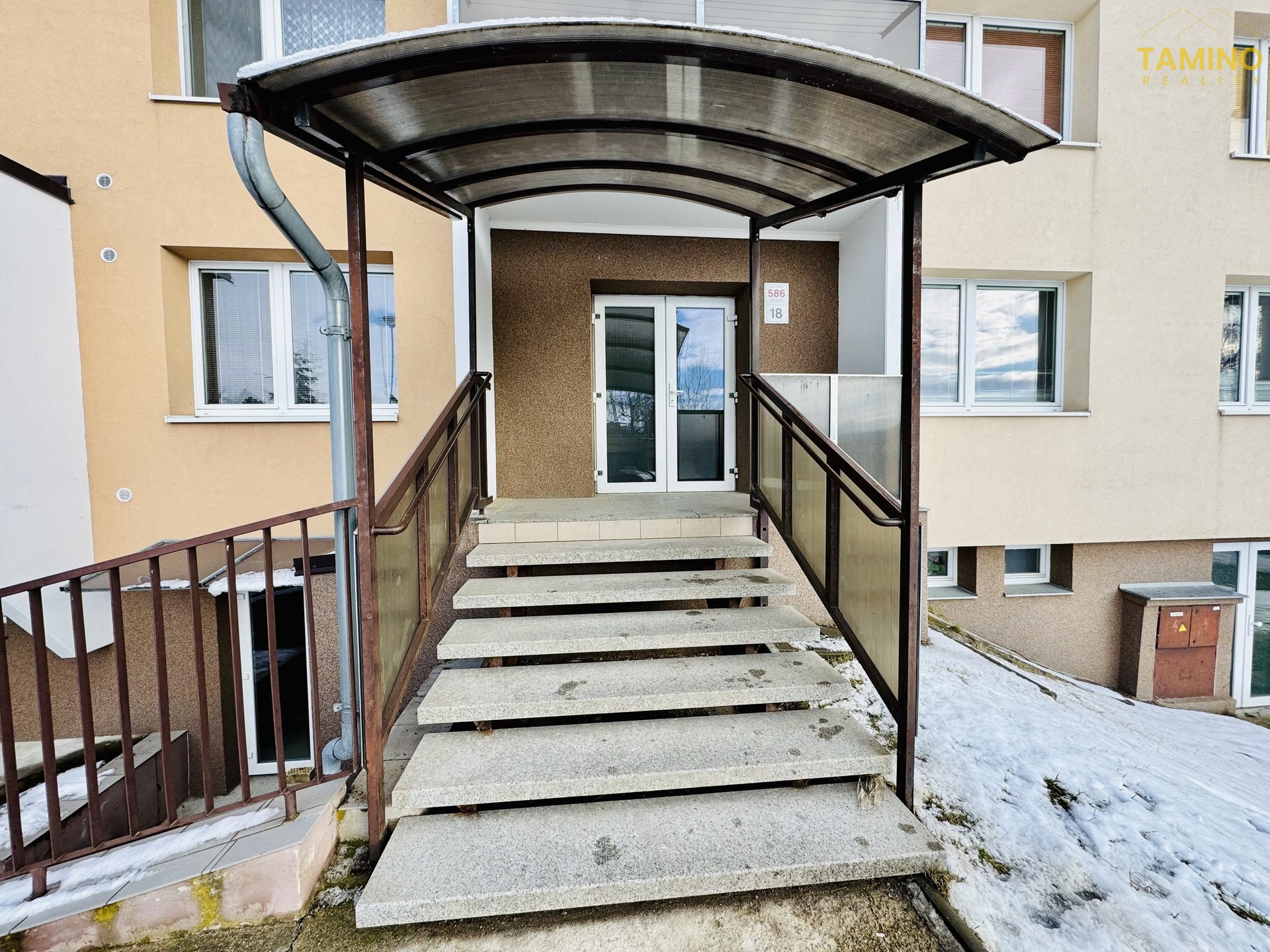 Joy_20260218_141522_633_photo