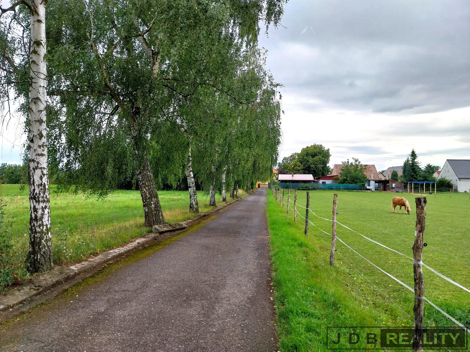 erněves (1)