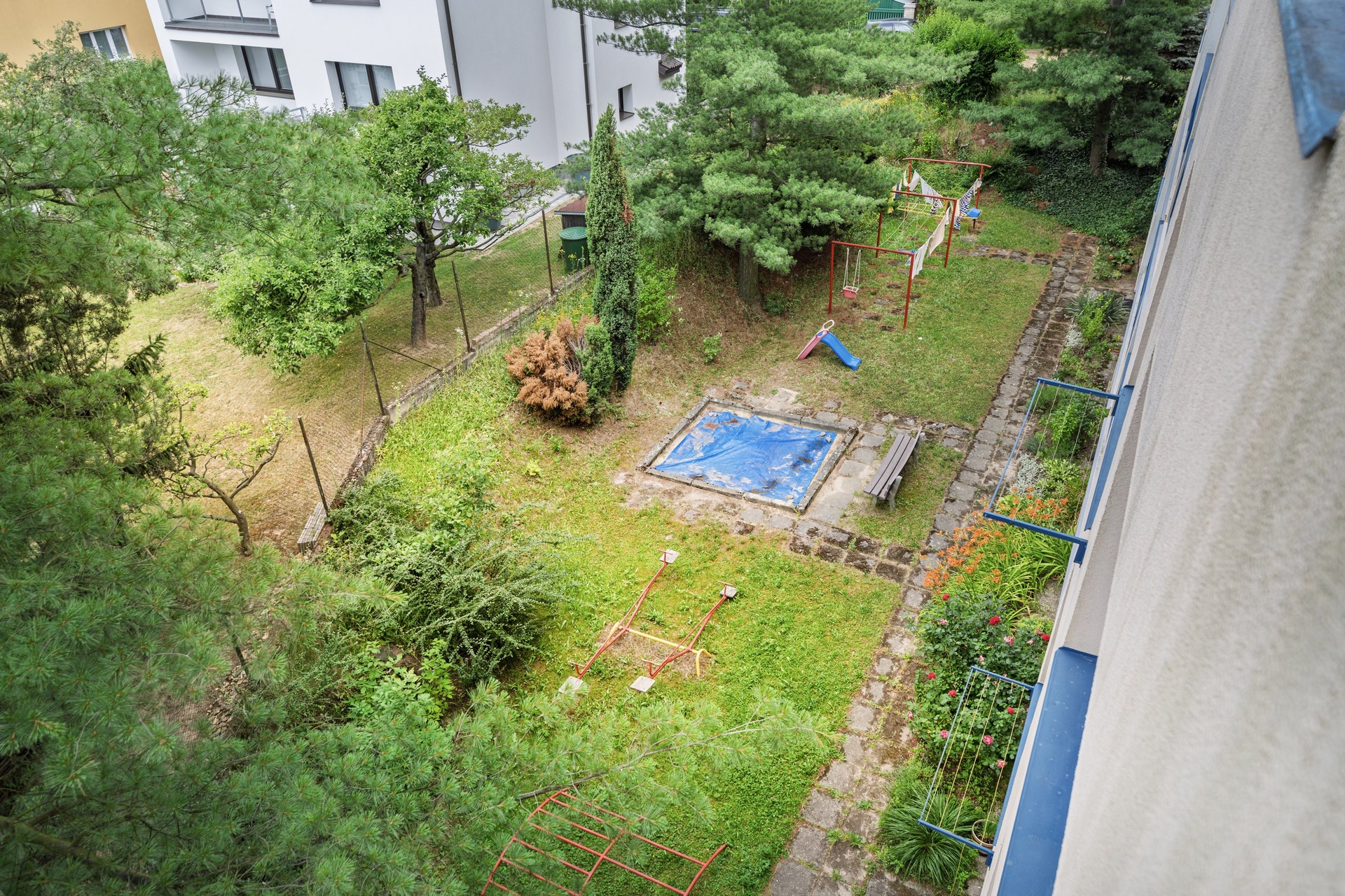 20250625-_DSC0013