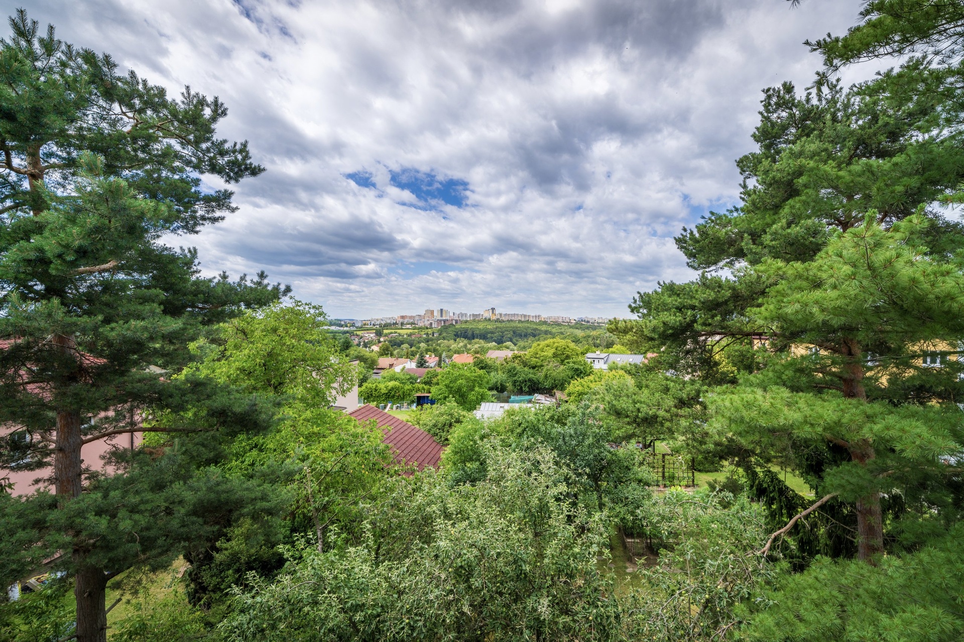 20250625-_DSC0008-HDR