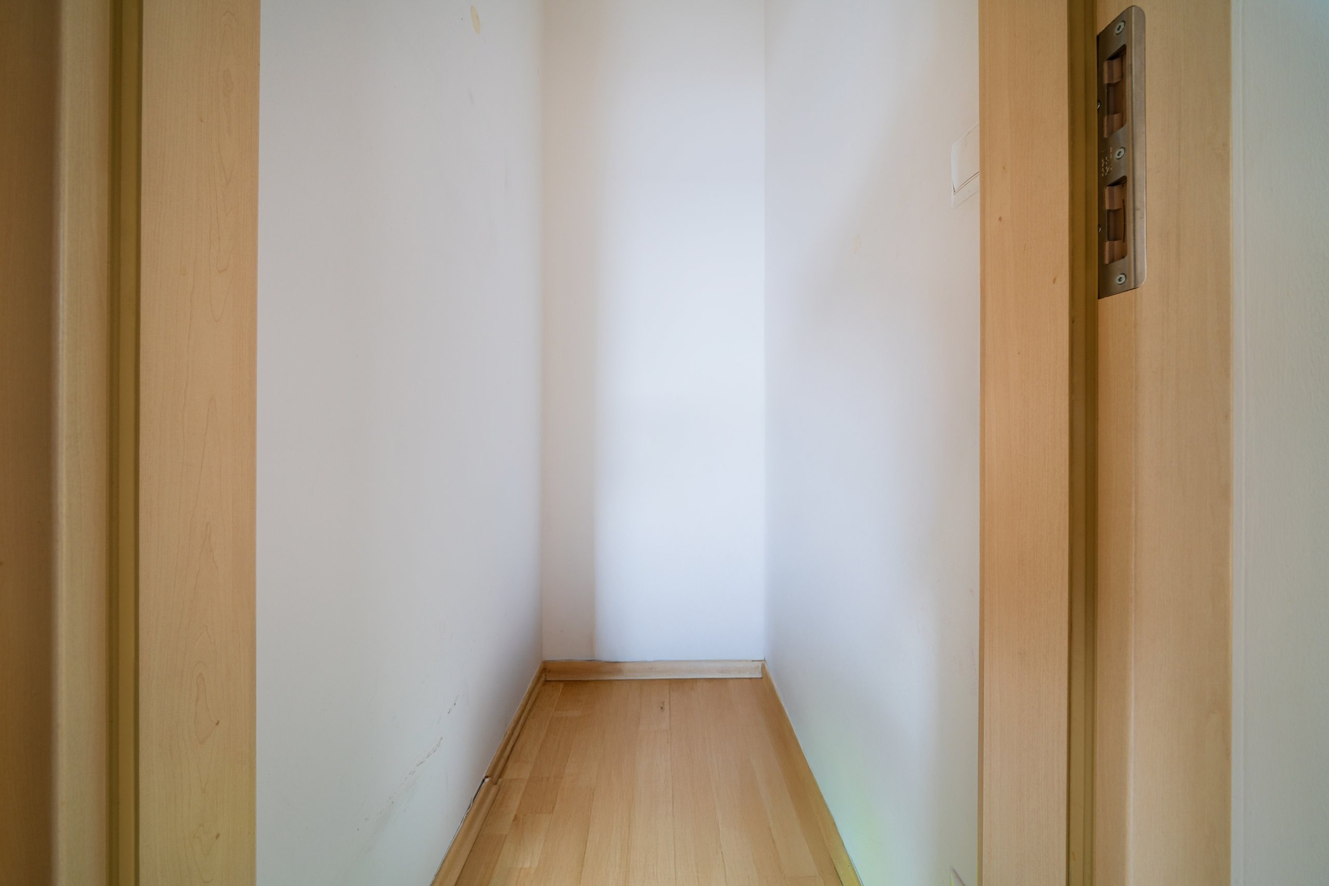 20250211-_DSC9433