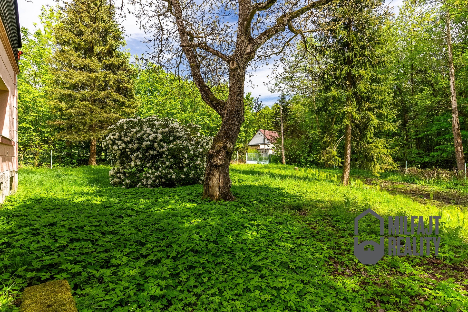 DSC02128-HDR