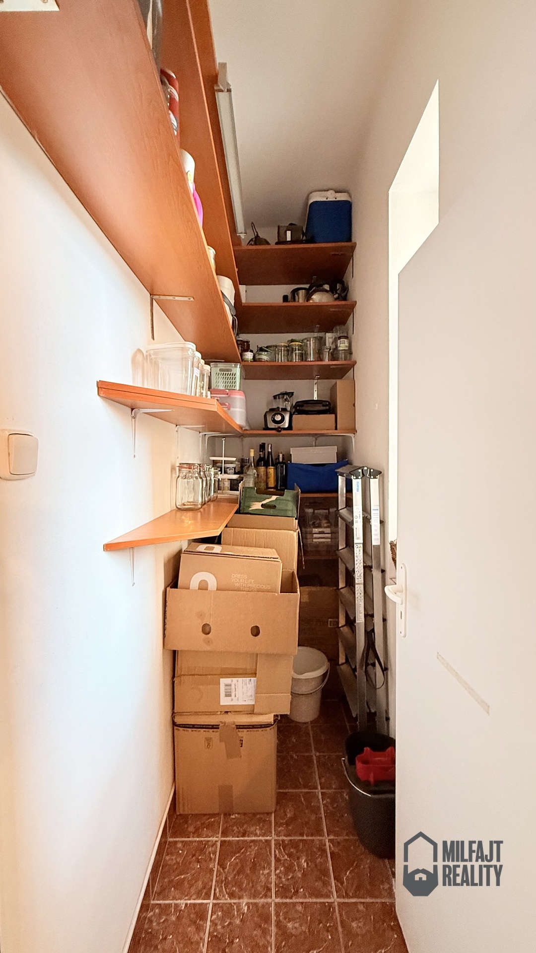 IMG_5380