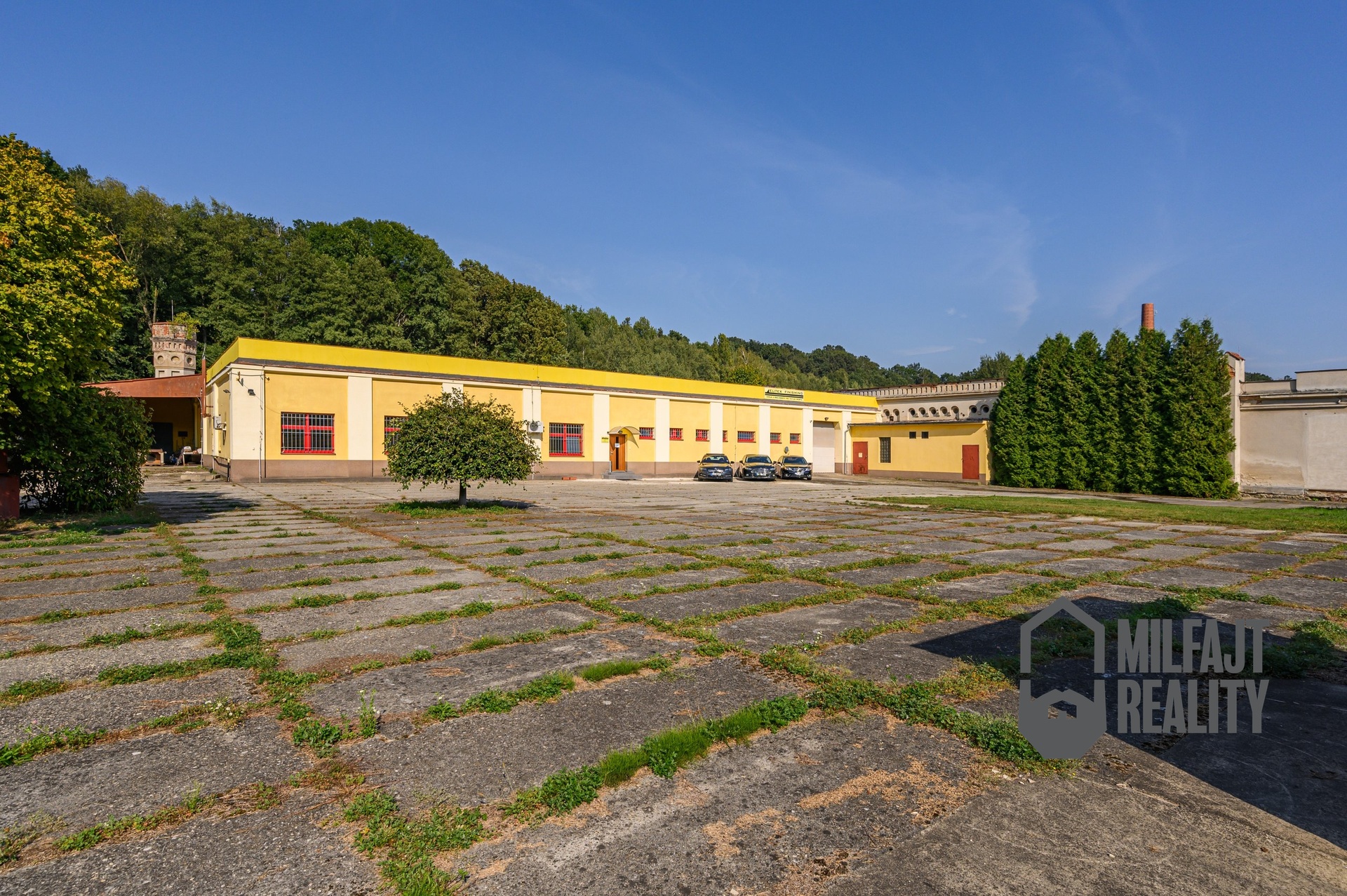 2024-09-03-15-41-44-CZ6_2063