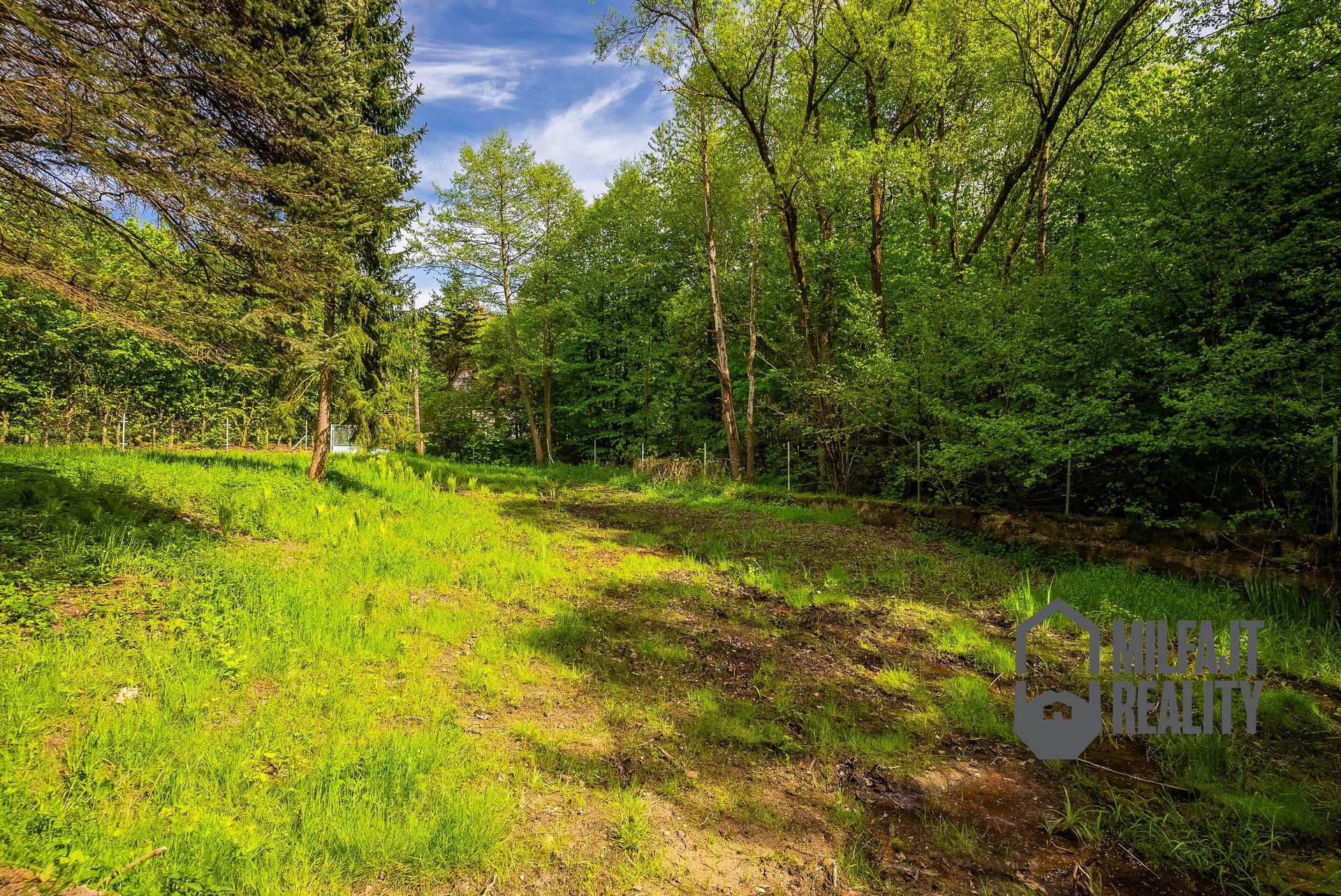 DSC02110-HDR