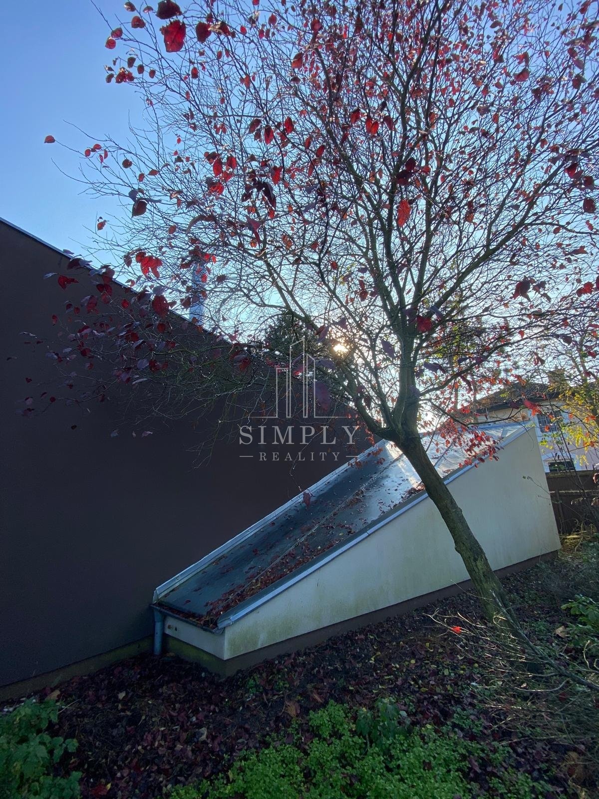 7c42689d-d9e9-400c-a513-6e149daa5ac6