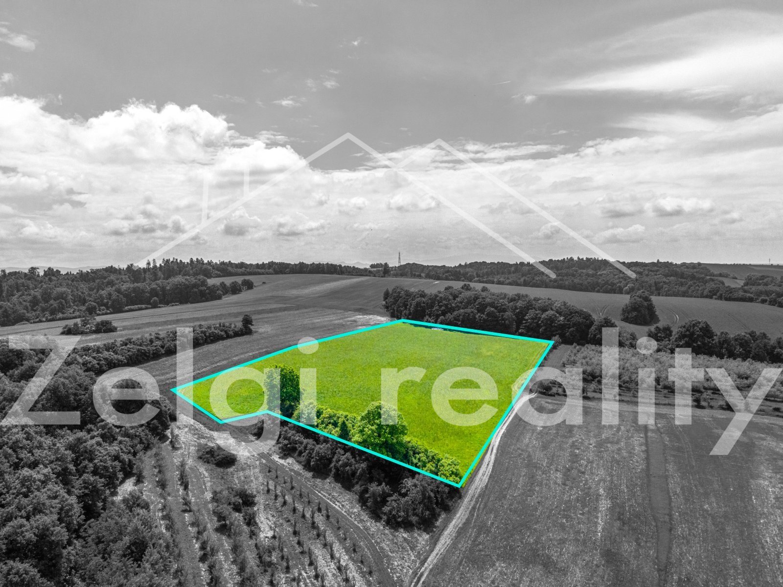 DJI_0924.jpg